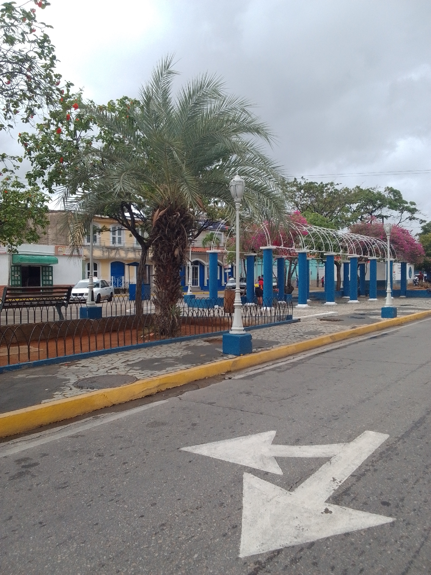 The image depicts a street scene in Juan Griego, Venezuela, on an overcast day. In the foreground, a gray asphalt road features white directional arrows painted on its surface, indicating a lane split. To the left of the road, a raised sidewalk with a yellow curb borders a paved area with a stone pattern. Beyond this, a black metal fence separates the sidewalk from a park-like area.
This park area contains a prominent palm tree, a white lamppost on a blue-painted base, and a dark metal park bench. Further into the park, a blue and white trellis structure with several tall blue columns supports an arched white frame. Behind the trellis, buildings with yellow and white facades are visible, some with blue doors and windows. One building has a green awning over a storefront. A white car, possibly a taxi, is parked on the street in front of one of the buildings. Several people are present in the park area, some walking and others standing near the trellis. The sky is heavily clouded, suggesting potential rain.