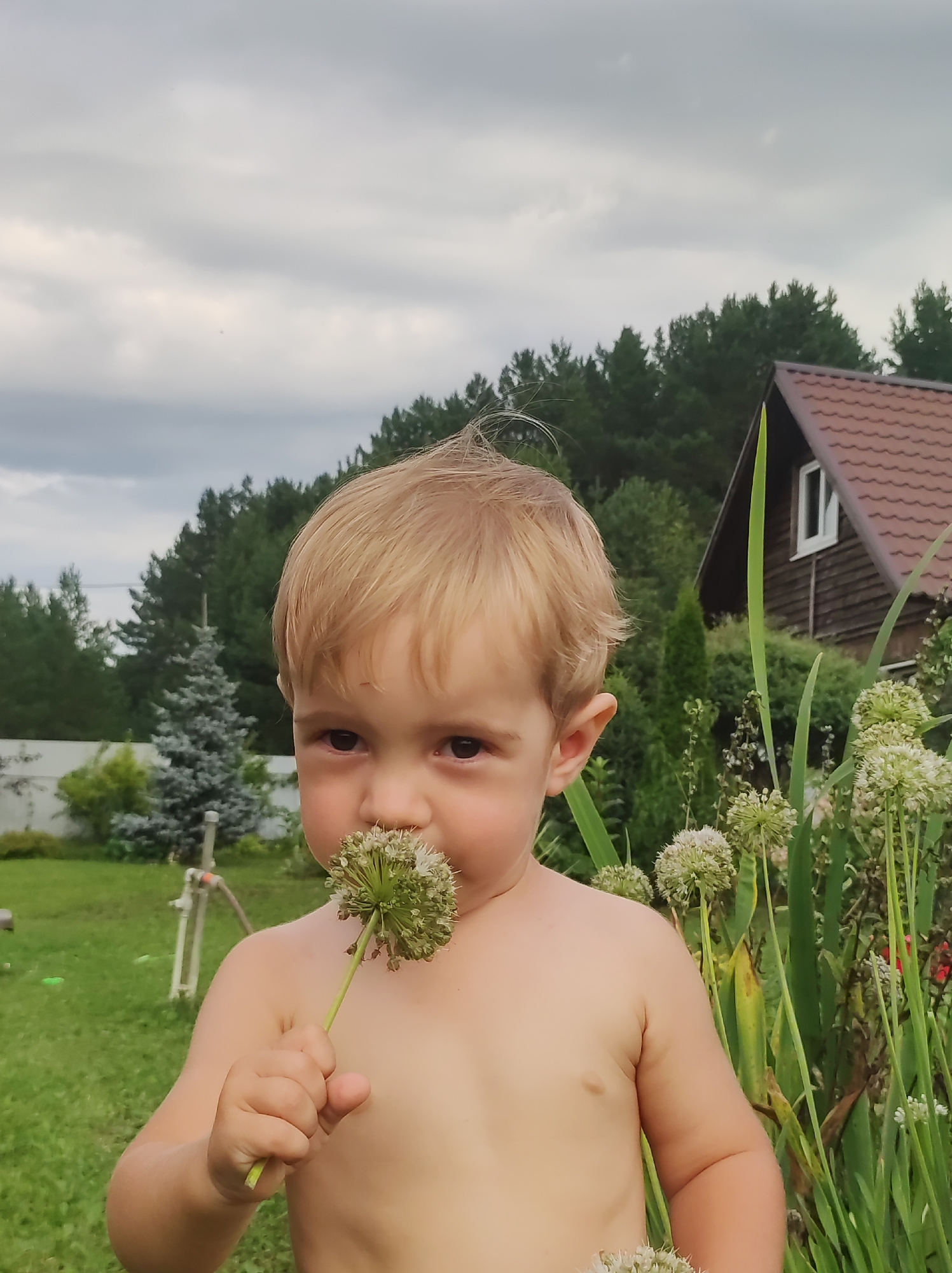 A young, shirtless child with blond hair is holding a spherical white flower up to their nose, in what appears to be a backyard in the city of Foky, Russia. The child is positioned in the foreground, facing the camera with a neutral expression. Behind the child, a wooden house with a brown tiled roof is visible, surrounded by lush green trees and vegetation. The sky is overcast with clouds. A white fence runs along the left side of the frame, and a portion of a green lawn is also visible. The overall scene suggests a casual outdoor setting, likely during daytime.