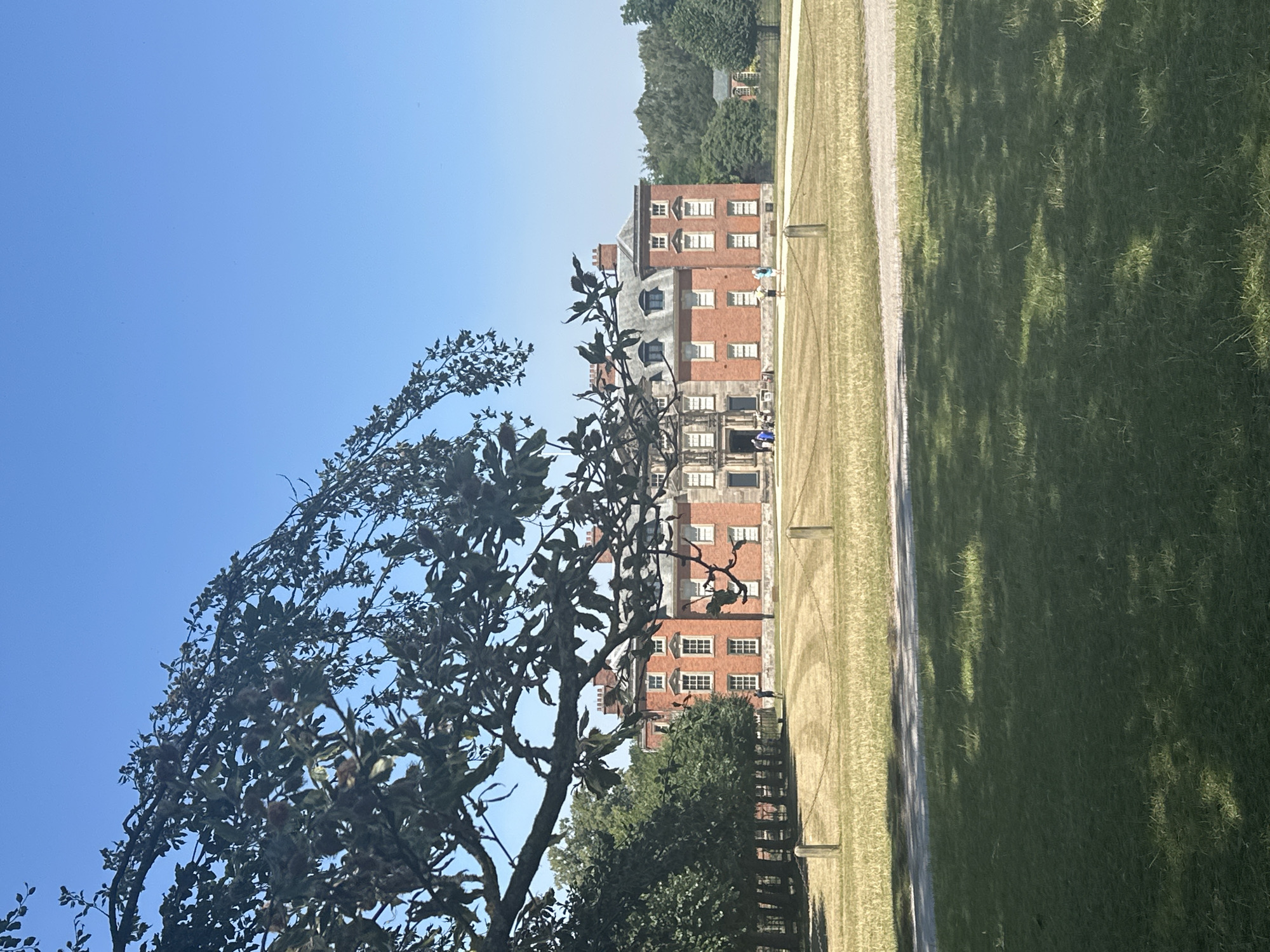 A wide, low-angle shot shows a large, red brick manor house on a sunny day. In the foreground, a large, leafy tree branch with some brown fruit hangs from the left side of the frame, obscuring part of the sky and the house. The house is long and symmetrical, with multiple stories and many windows. It is set back from a mowed lawn with visible circular patterns from a mower. Several wooden posts with a chain strung between them delineate a path in front of the lawn. Further back, a line of tall, dark green trees borders the property, with another smaller building visible behind them. A few people are scattered across the lawn in front of the house, appearing to be visitors. The sky is a clear, bright blue. The scene appears to be of Dunham Massey, a historic country house and parkland located in Trafford, United Kingdom.
