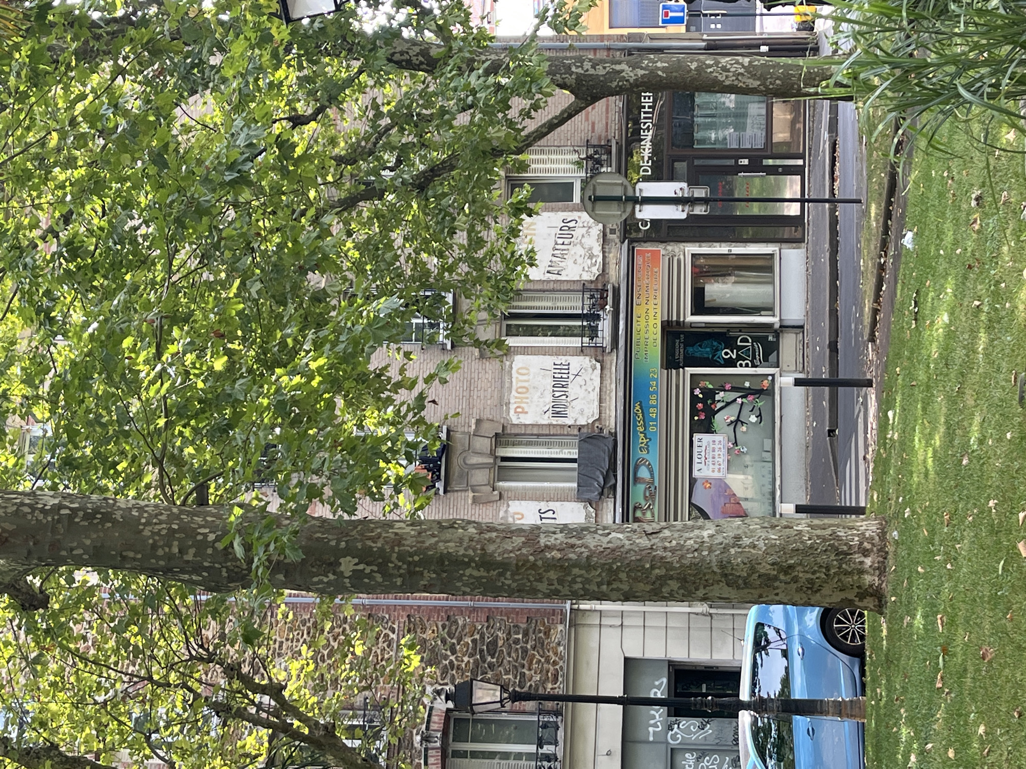 The image shows a street scene in Joinville-le-Pont, France, with a building facade featuring several businesses. A large tree with a mottled trunk dominates the foreground, its leaves obscuring parts of the building. In front of the building, there's a sidewalk and a street.
On the ground floor of the building, there are multiple storefronts. One sign reads "PUBLCITÉ ENSEIGNES IMPRESSION NUMERIQUE DECO INTERIEURE" with a phone number "01 48 86 54 23". Next to it is a shop with a sign that has "2 BAD Expression" on it, and another sign above it that says "A LOUER" (For Rent) with phone numbers. Further to the right, a sign reads "C DE-KINESITHER".
Above the storefronts, on the building facade, are several faded painted signs. One sign says "PHOTO INDUSTRIELLE", and another says "AMATEURS". There are also windows with shutters.
In the foreground, a bright blue car is parked on the left side of the image. The ground is covered with grass, and fallen leaves are scattered on the grass and sidewalk. A black lamppost is visible on the left. The overall impression is that of a typical urban street scene in a French town.