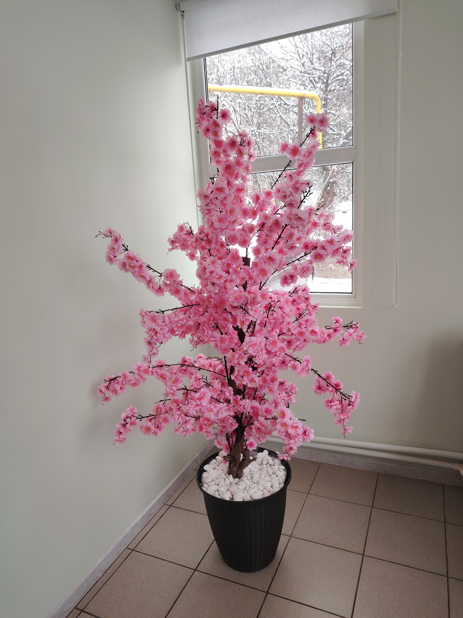 A faux pink cherry blossom tree in a black pot filled with white stones sits on a tiled floor against a pale green wall, positioned in front of a window. The window looks out onto a snowy scene with bare trees and a yellow pipe running horizontally outside. The room has a neutral color palette, and a window shade is visible at the top of the window frame. The location is Sarapul, Russia.