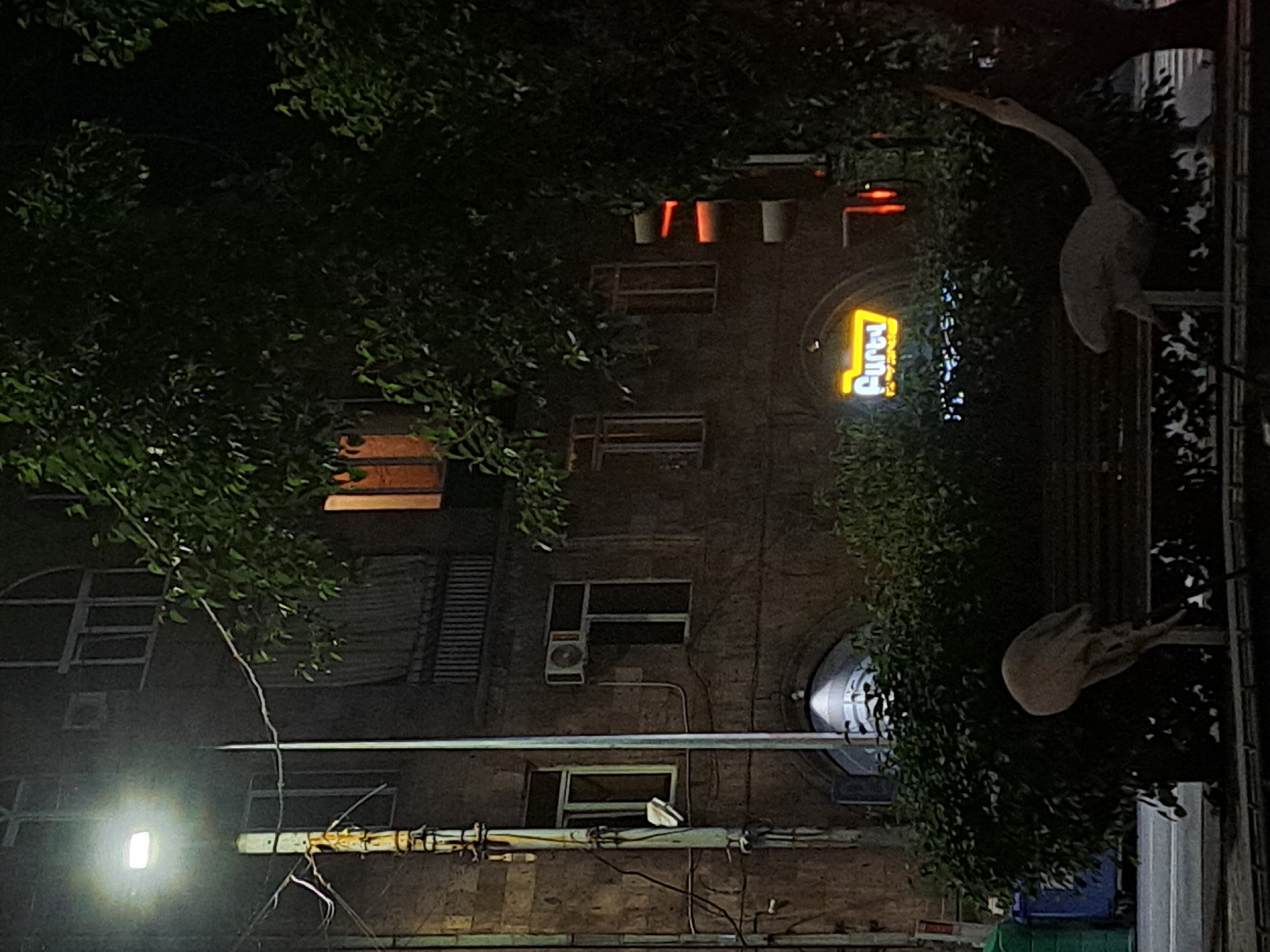 The photograph depicts a building at night, possibly in Yerevan, Armenia. A neon sign with the word "Sushi" is visible. The building's facade is visible with windows and possible air conditioning units. Two pelican statues are situated on the building. A streetlamp illuminates the lower part of the image, and trees frame much of the building.