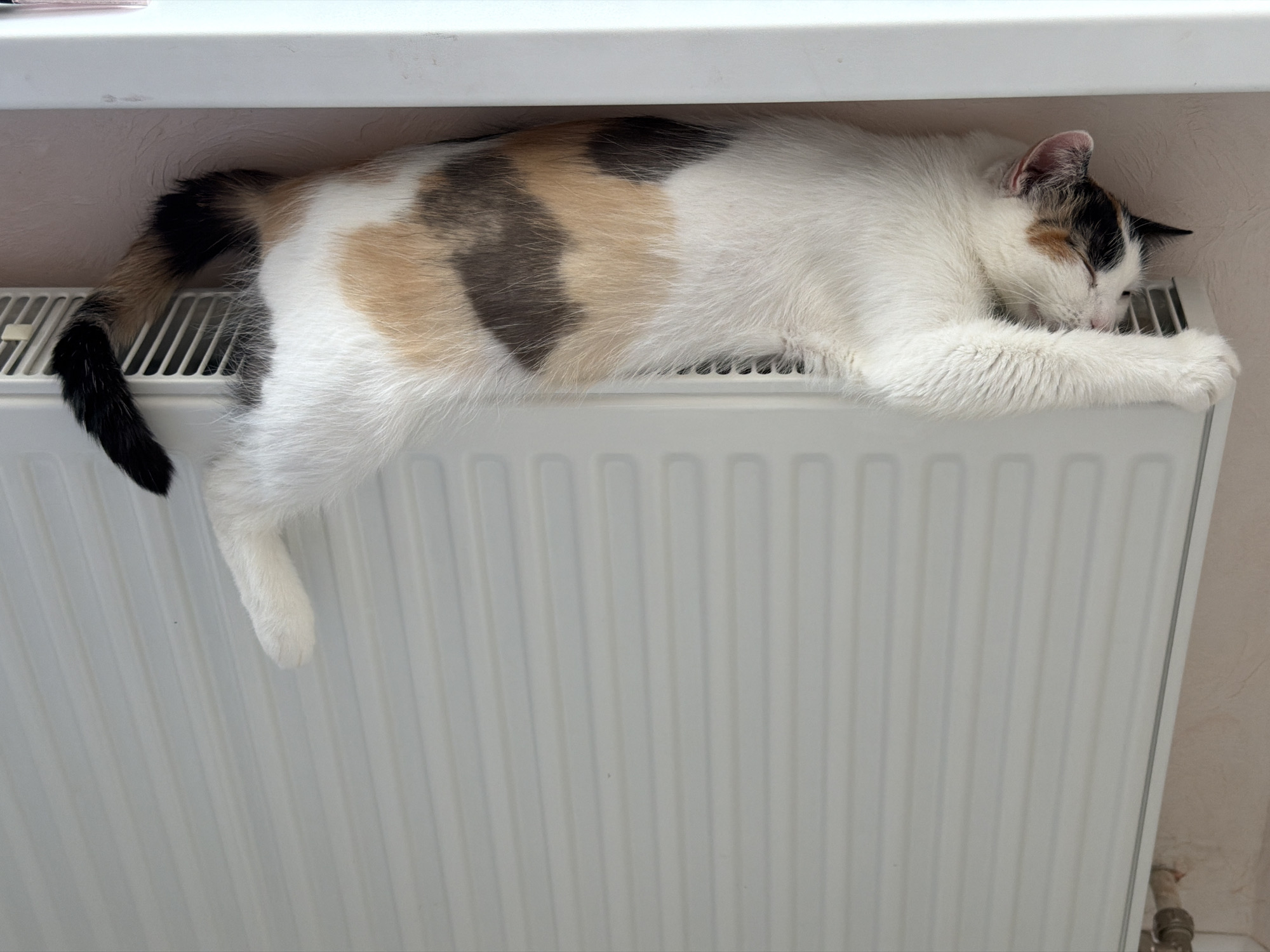 A calico cat is lying on a white radiator. The radiator is under a windowsill. The location is inferred to be in Rossiyskiy, Russia.