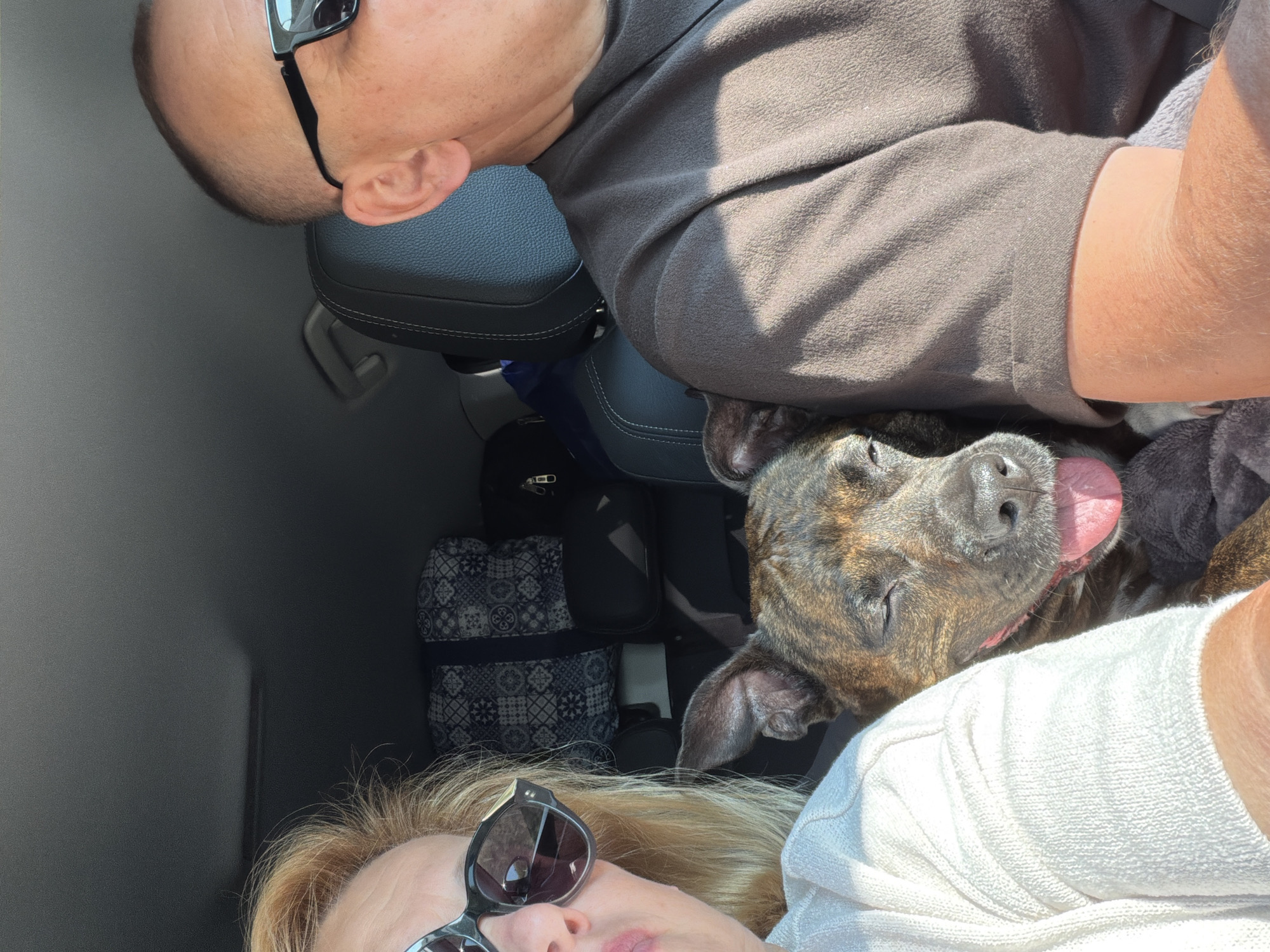 This image shows a close-up view inside a car in Stützenhofen, Austria. Two people and a dog are in the foreground. On the left, a woman with blonde hair and sunglasses is partially visible, wearing a white sweater. In the center, a brindle-colored dog is resting with its eyes closed and tongue out. On the right, a man with short hair and sunglasses is visible, wearing a brown t-shirt. The background shows car seats and luggage.