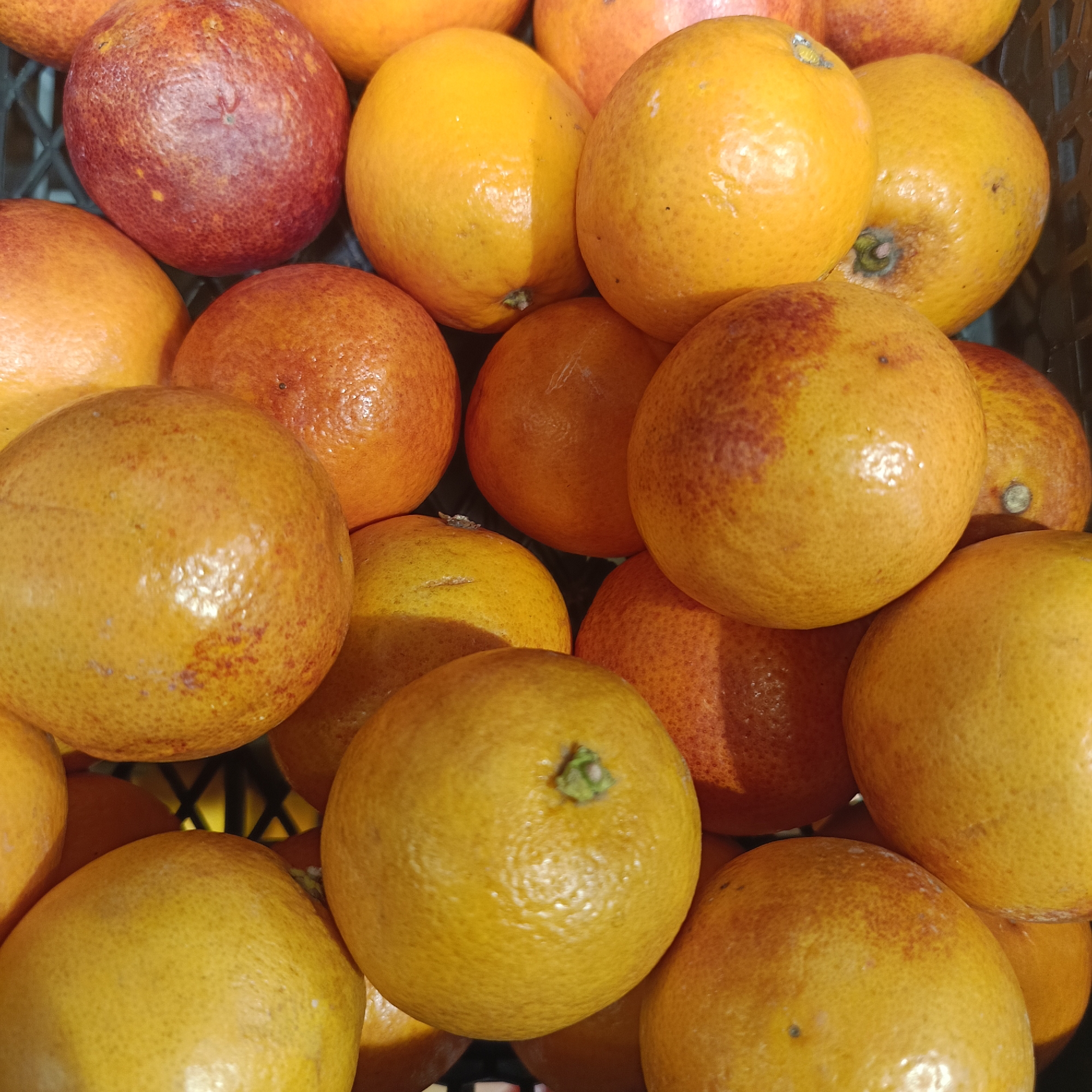 The image shows a close-up of a pile of citrus fruits, likely blood oranges, in a container. The oranges are of varying shades of orange and red. The surfaces of the fruits have a textured appearance. The container is partially visible, revealing a dark color and a grid-like structure. The specific location in Марковский, Russia is not discernible from the image.