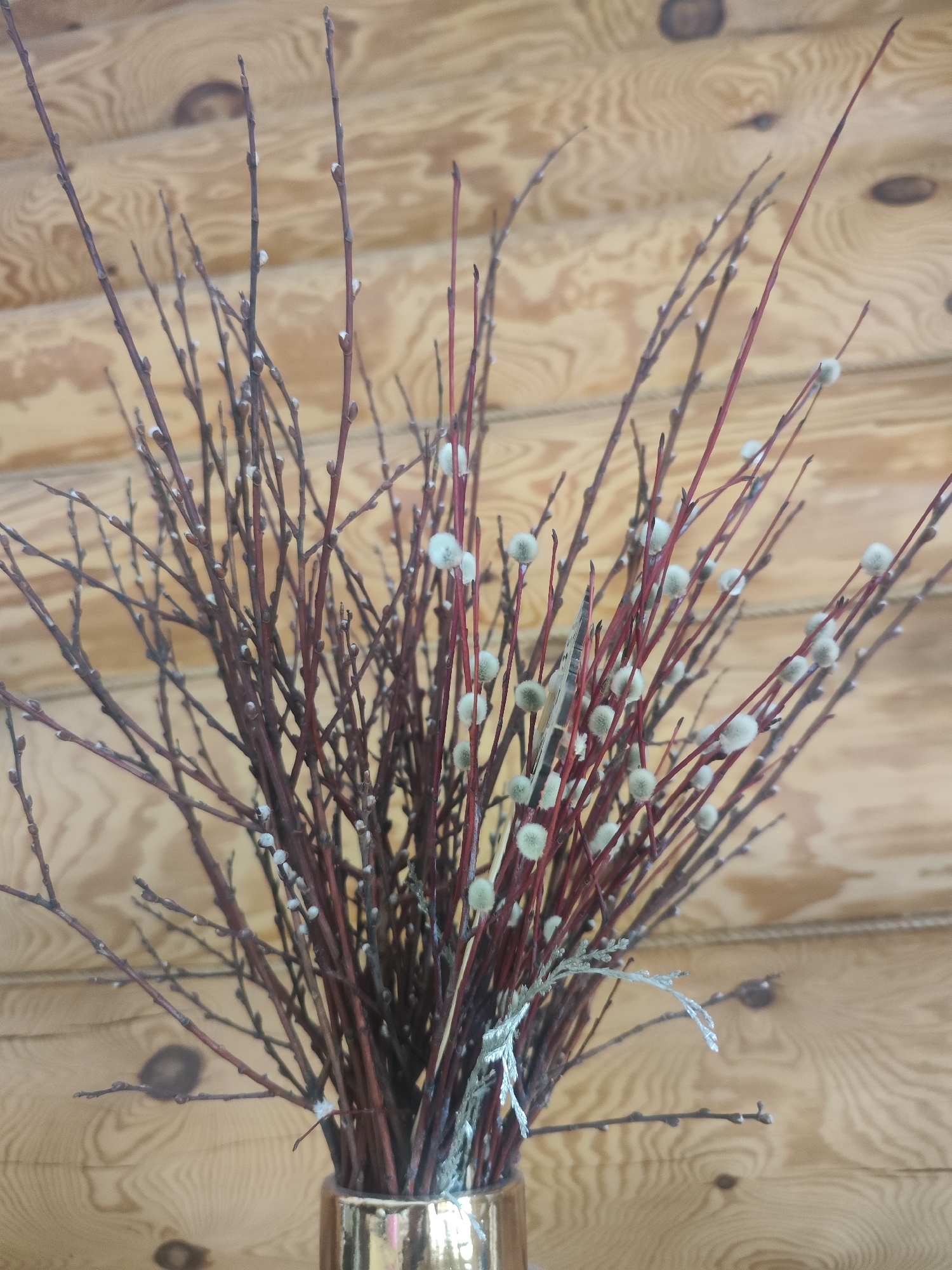 The image depicts a bouquet of pussy willow branches in a gold-colored vase. The branches have a reddish-brown hue, with some displaying soft, white, fuzzy catkins. The vase sits against a background of wooden planks with a natural finish, possibly a wall or decorative panel. The scene is likely indoors. Without further information or metadata, it is impossible to confirm the location specifically as Chaikovsky, Russia.