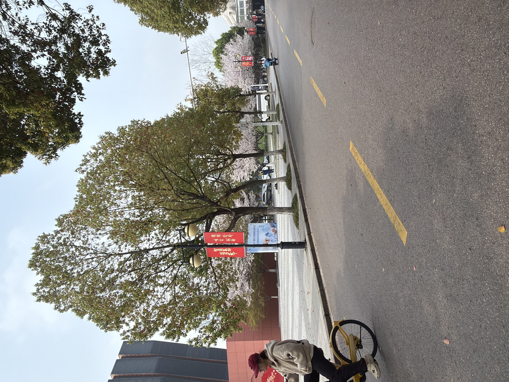 The image depicts a street scene in Jiangning District, China. A person in a grey hoodie and red hat stands with a yellow bicycle. A building with a red facade is visible behind them. Along the street, there are trees, some of which have pink blossoms, and light posts with red banners displaying Chinese characters. A banner promotes the 2027 internship recruitment fair. The street has yellow lane markings. Another person rides a bicycle further down the street. There are cars parked along the side of the road and buildings in the background.