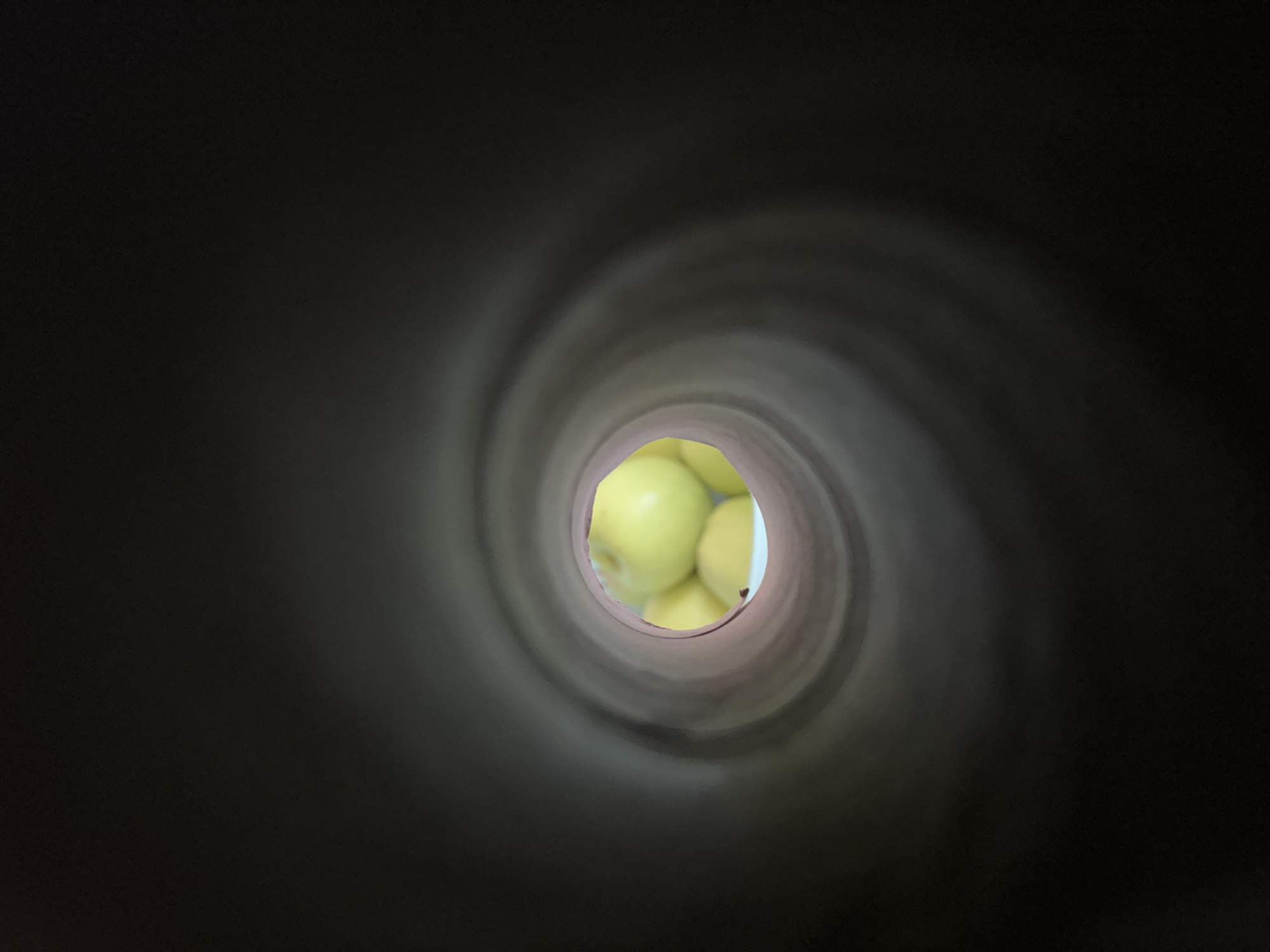 The image is a photograph taken from inside a dark, cylindrical tunnel looking outwards. The tunnel walls appear to be made of a dark material, possibly paper or cardboard, and curve inwards towards the viewer. The far end of the tunnel opens to reveal a cluster of round, yellow objects, which appear to be apples. The apples are out of focus, suggesting they are some distance away. The lighting is dim, with the brightest point being the opening of the tunnel and the apples within. There are no people visible in the image, and no indication of the specific location within the city of Cork, Ireland.