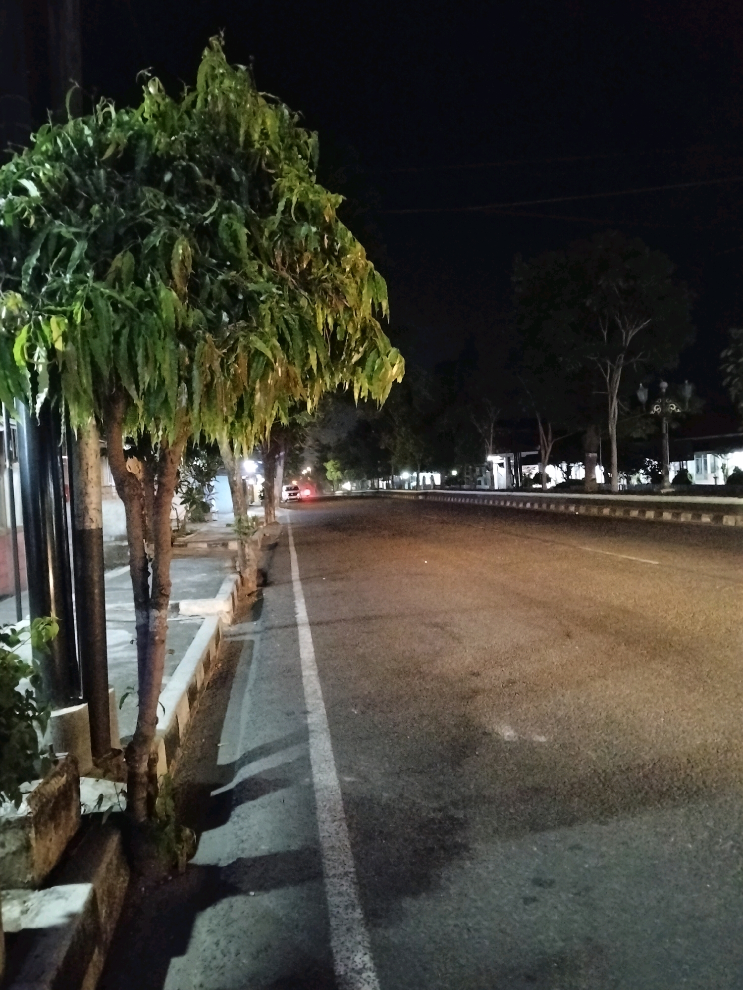 The image depicts a street at night in Kliwonan, Indonesia. A paved road runs diagonally from the bottom right to the upper left of the frame, bordered by a white dashed line on the right and a curb on the left. A sidewalk is visible alongside the curb, with several trees planted along it. The tree closest to the camera is in the foreground, its trunk showing multiple branches, and its leaves are illuminated by artificial light. Beyond the sidewalk, there are structures and more trees in the background. Lights from buildings and street lamps are present, casting a warm glow on the scene. The sky is dark, indicating nighttime. A single vehicle with red taillights is visible in the distance on the road.