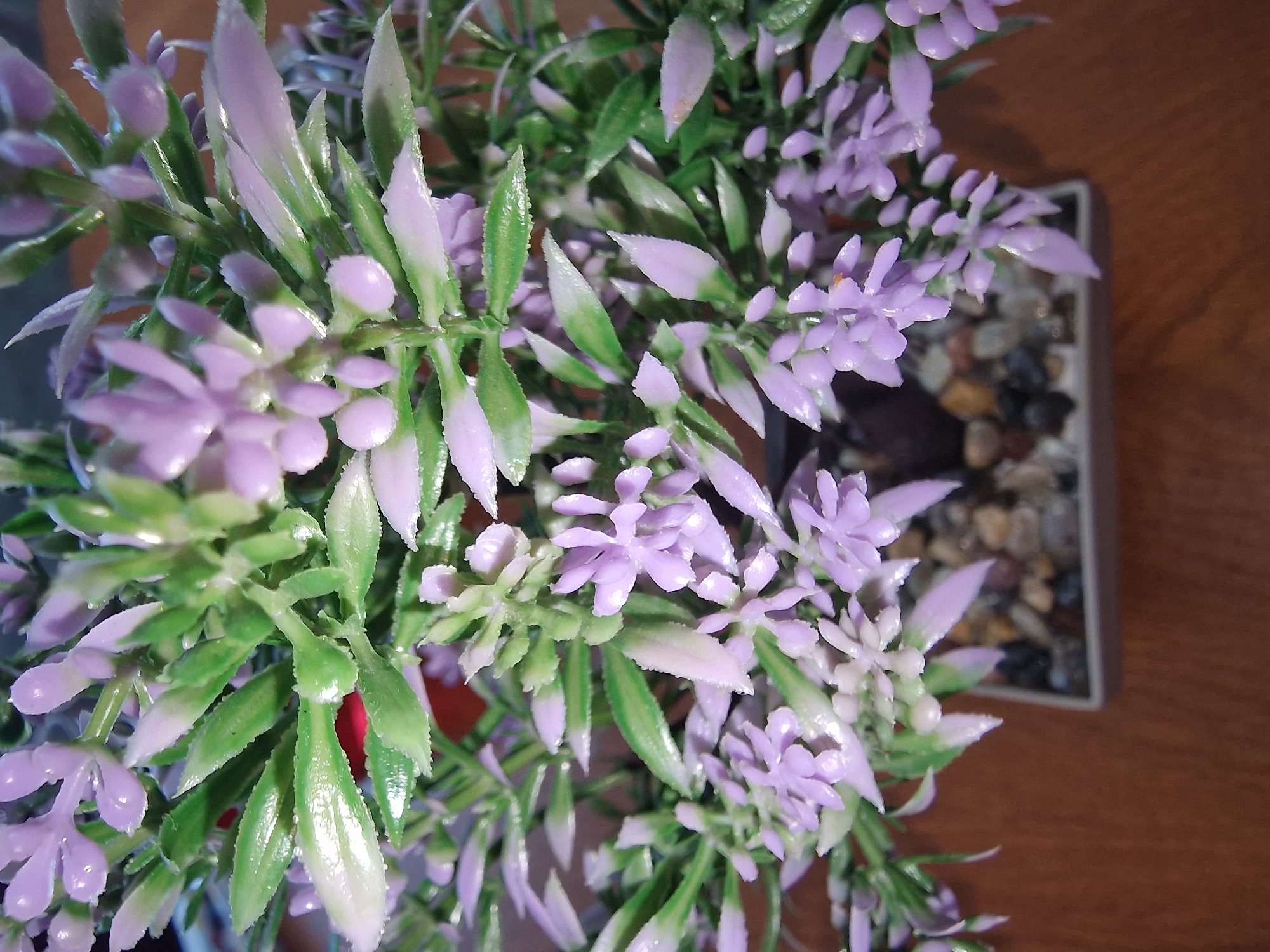 A close-up, high-angle shot focuses on a decorative potted plant featuring lavender-colored flowers and green leaves. The plant is situated on a wooden surface. The pot, visible in the background, contains small decorative stones. The location is Unknown, Unknown.