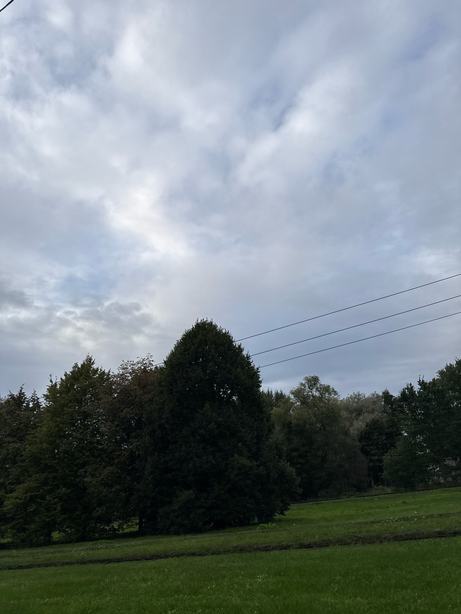 The image captures a serene, overcast landscape, likely in the city of Tallinn, Estonia, given the presence of tall trees and manicured grassy areas common in urban parks. The sky is filled with a layer of grey, textured clouds, suggesting a cool or potentially rainy day. Three dark, thin wires, presumably power lines, traverse the upper portion of the frame horizontally, adding a man-made element to the natural scene. Below the sky, a dense line of varied trees forms a dark, verdant backdrop. The trees exhibit a range of greens and browns, with some appearing to be evergreens and others deciduous. In the foreground, a neatly mowed green lawn stretches out, interrupted by two parallel, dark lines, possibly tracks or cleared paths. The overall impression is one of natural beauty juxtaposed with subtle signs of human infrastructure.
