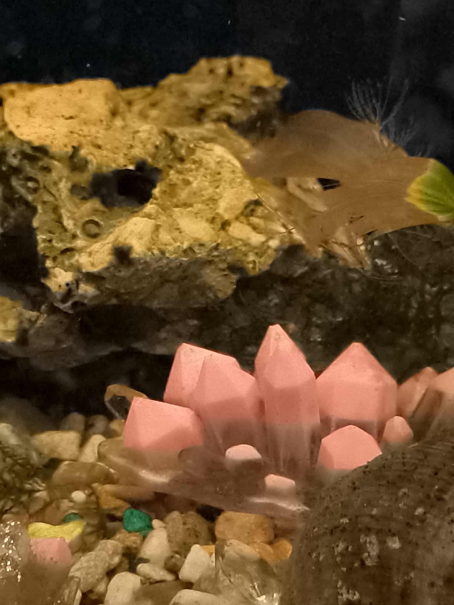 The image shows a close-up view of an aquarium decoration. In the foreground, a cluster of pink, crystal-shaped objects is prominent, appearing to be made of resin or plastic. These are arranged on a bed of small, multicolored pebbles and gravel, which include shades of white, tan, and orange. Some green and blue colored pebbles are also visible within the gravel. Behind the pink crystals, a rough, textured, yellowish-brown rock formation with a dark, hollow opening is visible. Further in the background, a translucent, light brown organic-looking object, possibly a dried plant or a decorative element, is partially obscured by a blurry green object on the far right. The overall environment suggests an artificial aquatic setting. The image does not provide any information that would allow for the identification of a specific location in Klaipėda, Lithuania.