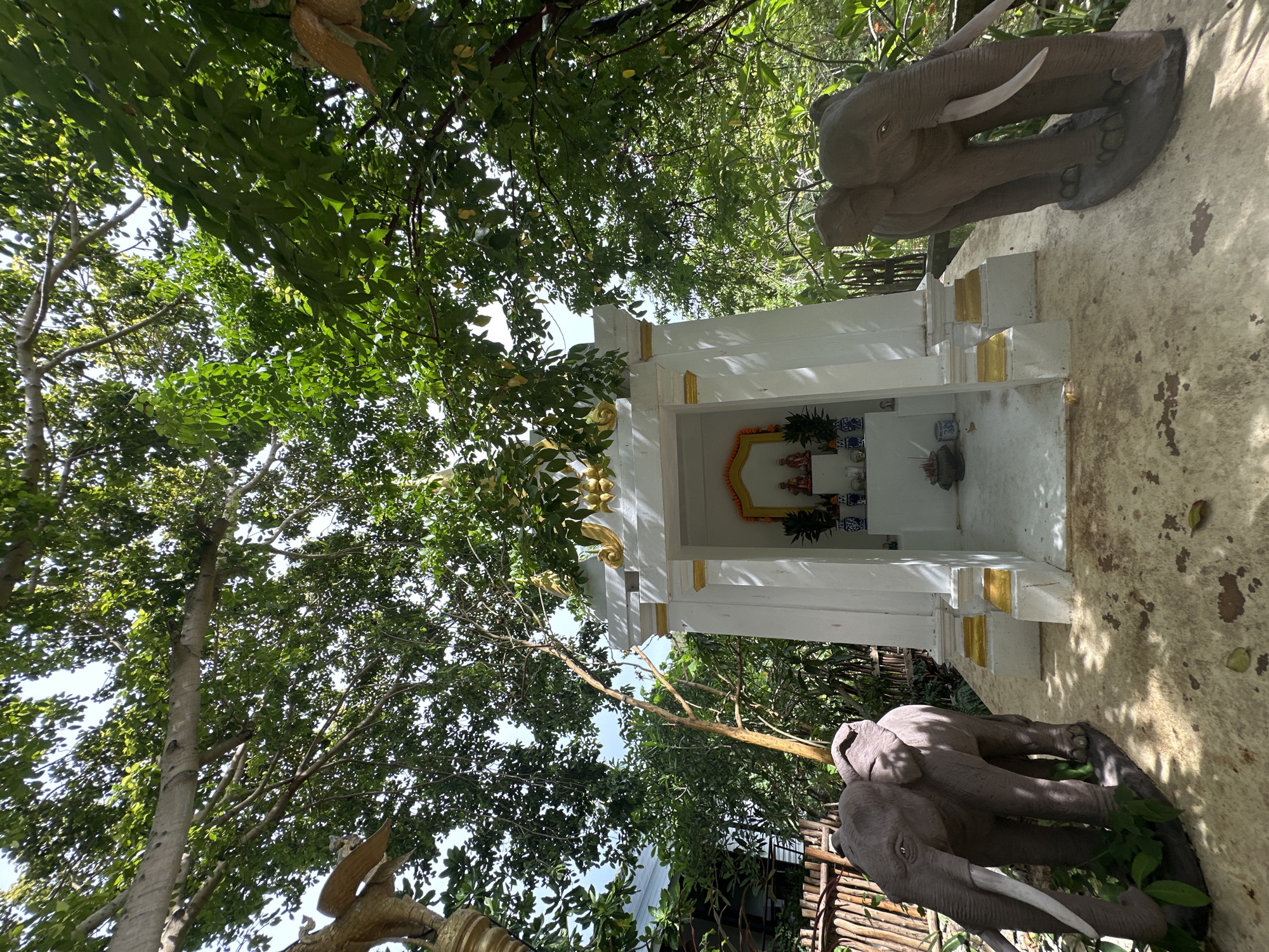 This is a ground-level, eye-level, full shot photograph taken outdoors in the vicinity of Koh Phangan, Thailand. The scene depicts a small, ornate white shrine with gold accents, resembling a temple or altar, set amidst lush green foliage. Flanking the shrine are two life-sized, grey elephant statues. The shrine itself features an open front, revealing a small interior with two seated figures adorned in colorful robes, possibly religious idols. A few other decorative items, including small vases and what appear to be incense sticks in a holder, are also visible inside the shrine. The ground surrounding the shrine is a light-colored, textured surface, with scattered leaves and darker patches. To the left of the shrine, a rustic wooden fence is visible. The overall atmosphere is serene and spiritual, suggesting a location of religious or cultural significance.