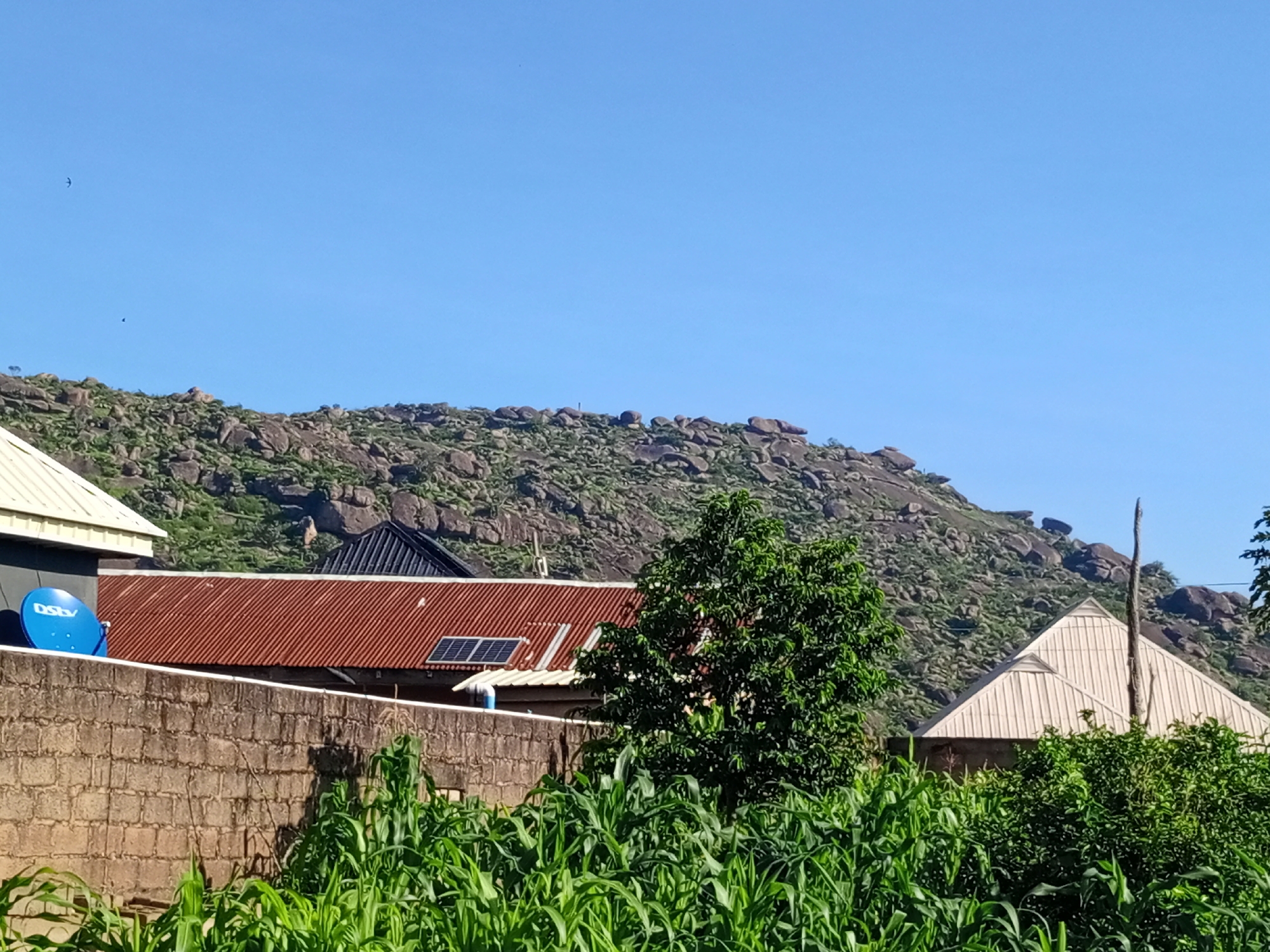 The image depicts a clear, sunny day with a bright blue sky above a rocky, hilly landscape. In the foreground, a low brick wall runs horizontally across the scene, with lush green crops, likely corn, growing densely on the other side. Several structures are visible behind the wall and in the midground. To the left, a building with a white, angled roof is partially visible, featuring a blue satellite dish. Adjacent to this, a building with a rusty, corrugated metal roof has two solar panels installed. A large, leafy green tree stands prominently in the center of the image. Further to the right, a building with a light-colored, ridged roof is seen, partially obscured by foliage. The background is dominated by a steep, rocky hill dotted with sparse vegetation. The overall scene suggests a rural or semi-rural setting, possibly on the outskirts of a city, with the indication of residential structures and agriculture. The location is identified as Rukuba Road, Nigeria.