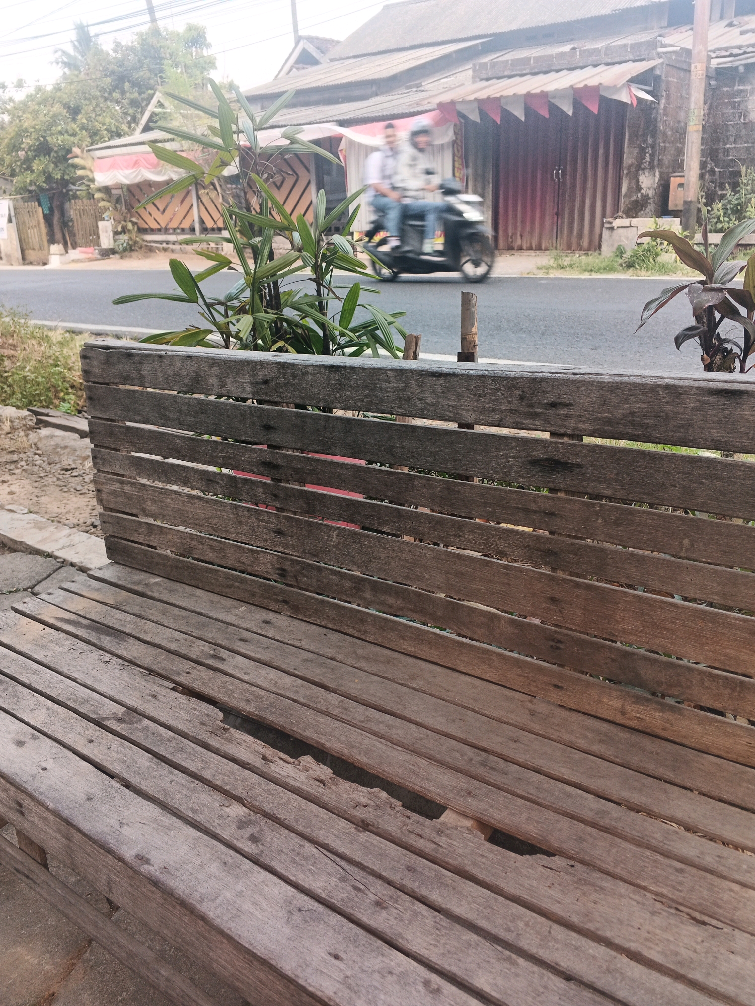The image depicts a street scene in Ungaran, Indonesia, with a weathered wooden bench in the foreground. The bench, constructed from horizontally laid wooden planks, shows signs of age and wear, including gaps and splintered sections. Behind the bench, a paved road is visible, with a building featuring a corrugated metal roof and red and white striped awnings in the background. Two individuals are seen riding a motorcycle on the road, blurred due to motion. A young plant with broad leaves grows near the bench, and a darker, leafy plant with reddish-brown foliage is situated to the right, further back. The environment appears to be outdoors, possibly in a residential or commercial area, with a sense of a casual, everyday setting.