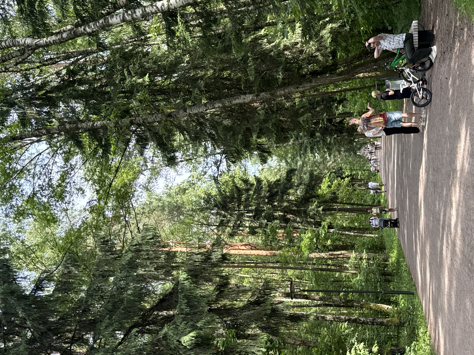 This image depicts a wide, unpaved earthen path winding through a dense forest in what is identified as a park or natural area within the city of Scolkovo, Russia. The path, illuminated by dappled sunlight filtering through a high, thick canopy, recedes into the distance, populated by numerous individuals.
The environment is characterized by tall, mature trees, predominantly dark green conifers with some lighter green deciduous trees interspersed, including several birches with distinctive white and black bark. Lush green undergrowth covers the forest floor on both sides of the path.
In the foreground, on the right side of the path, a light-colored wooden bench is occupied by two individuals. A man with dark hair, wearing a white patterned short-sleeved shirt and dark pants, is seated with his hands clasped behind his head. Next to him, a woman with dark hair, wearing a white patterned shirt and green pants, holds a dark object (possibly a phone or camera) to her face, appearing to photograph or observe something to her left. Two bicycles are parked near the bench: one green mountain bike and one white and black child's bicycle. Slightly to the left of the bench, a man in a colorful short-sleeved shirt, blue shorts, and sandals is standing, gesturing with his right hand towards a woman in a white top and dark pants who stands facing away from the camera. Near this group, a young person in a dark t-shirt and light shorts stands beside a dark trash bin.
Further down the path on the left, a lamppost with a dark pole and fixture is visible. In the mid-ground, a man in a white t-shirt and dark pants pushes a dark stroller, accompanied by a woman in a light-colored top and shorts walking beside him. Another couple is visible further back on the right side of the path. Numerous other individuals and small groups are dispersed along the path into the far background, indicating active public use of the area for recreation. The overall scene conveys a serene, shaded pathway bustling with pedestrian activity on a clear day.
