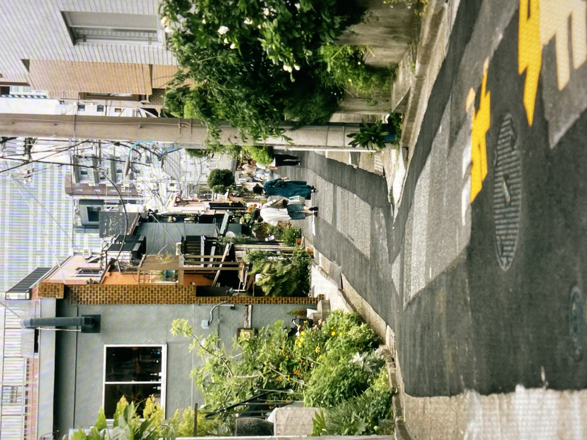 A streetscape in an unidentified city shows a narrow, paved street with yellow markings on the asphalt. People are walking along the sidewalk. Adjacent buildings are visible, with a mix of residential and possibly commercial structures. Green foliage and trees are present, lining the street and growing on the building facades. Overhead cables and utility poles run along the street. The weather appears to be sunny, casting shadows.
