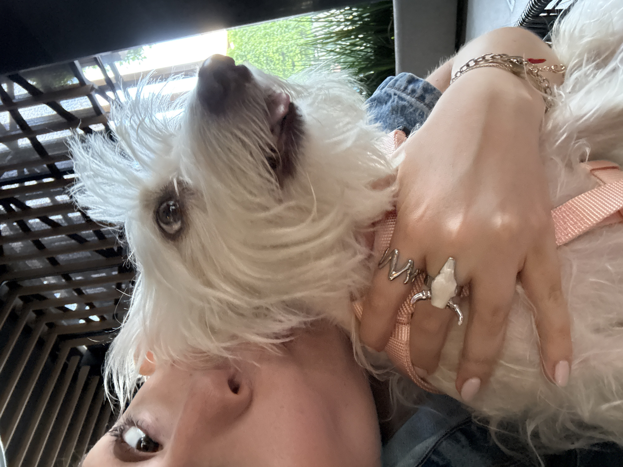 A person is holding a small, fluffy, white dog. The person's left eye and nose are visible in the lower-left corner of the image. The dog is nestled against the person's face. The person's right hand is on the dog, with two prominent rings on their fingers. The person is wearing a light blue denim jacket and a light pink harness is attached to the dog. The background includes dark, geometric shapes and glimpses of green foliage, suggesting an outdoor or semi-outdoor setting. The location San Bernardino Tlaxcalancingo, Mexico is not verifiable from the image.