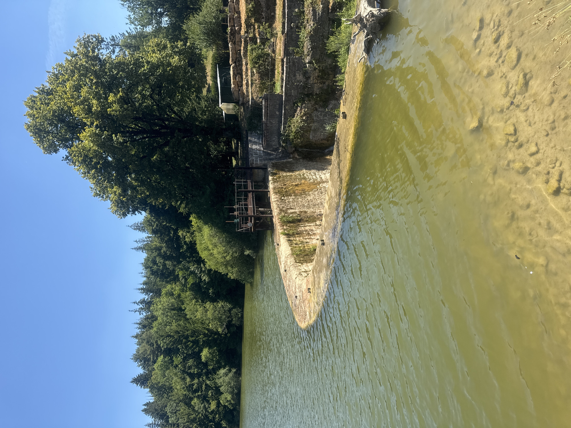 The image depicts a reservoir with a stone dam and a small waterfall on a clear, sunny day. The water is a murky green color, with sandy, rocky shallows visible in the foreground. The dam itself is constructed of stone and appears aged, with vegetation growing on its surface. A metal walkway and railing are visible at the top of the dam, suggesting it is a functional structure. Surrounding the reservoir is a dense forest of green trees. In the background, a large, leafy deciduous tree stands prominently. The sky is a vibrant, cloudless blue. The scene is set in Coteaux du Lizon, France.