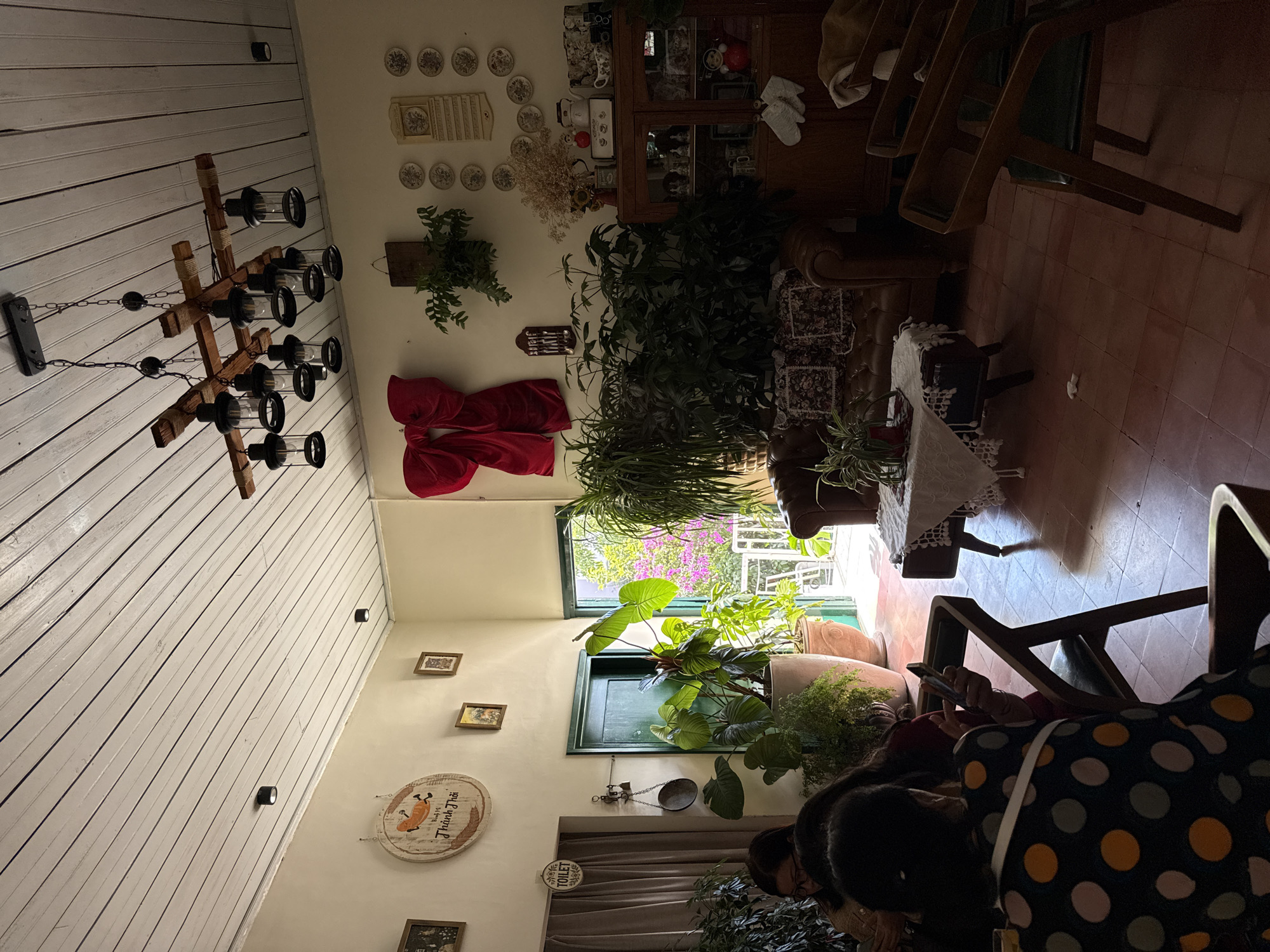 The image depicts the interior of a building, possibly a café or restaurant, in Da Lat, Vietnam. The building has a wooden-paneled ceiling and walls decorated with various items, including plates, plants, and paintings. There's a chandelier hanging from the ceiling. Large potted plants sit near a window, and a red bow is prominently displayed on the wall. Several people are seated at tables, including a person using a smartphone. The flooring appears to be tiled.
