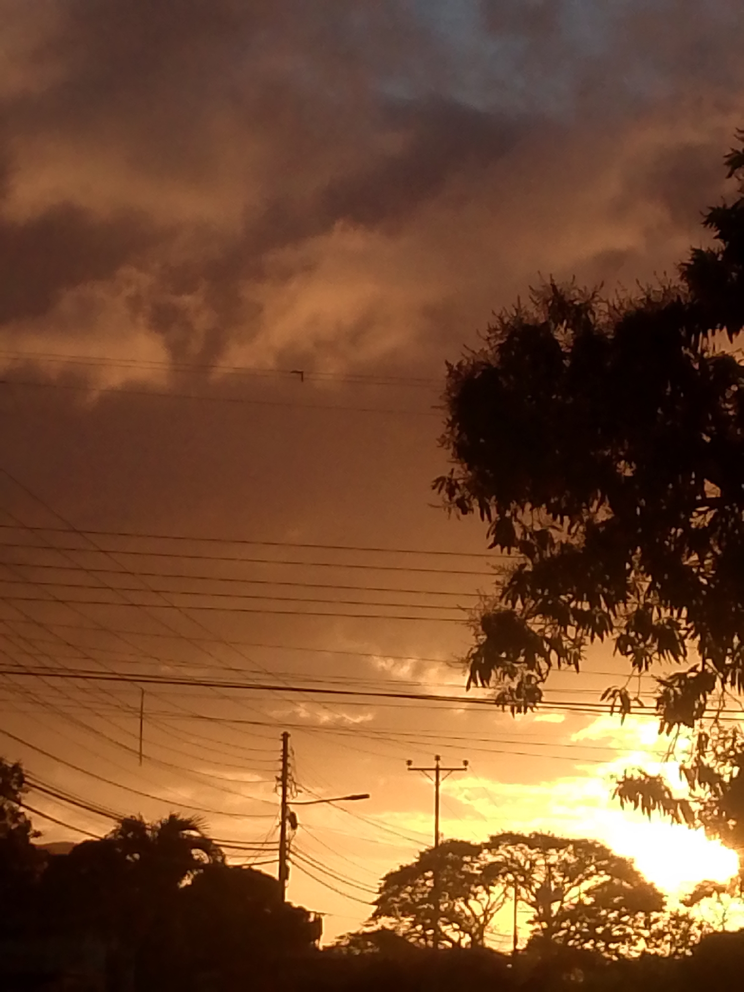 The image depicts a sunset in Juan Griego, Venezuela. The sky is filled with orange and dark gray clouds, with the sun visible near the horizon. Silhouetted trees and utility poles are visible in the foreground, with power lines stretching across the sky. No people are visible.