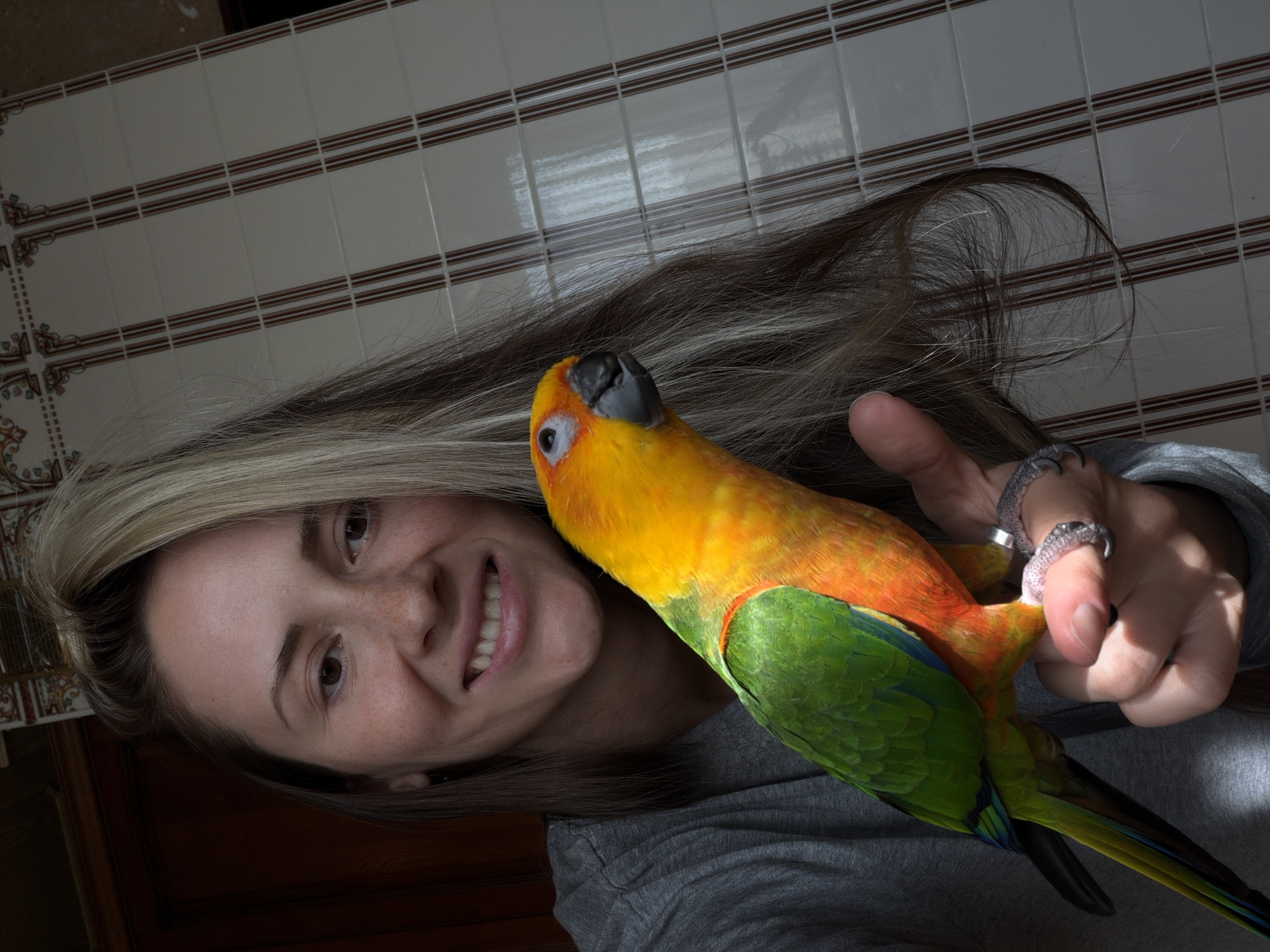 The image portrays an adult female and a parrot within an indoor setting in Khimki, Russia. The female, identified as Caucasian, has long, layered hair with dark roots and blonde highlights, predominantly styled over her left shoulder. She has visible freckles on her nose and cheeks, brown eyes, and a wide smile revealing her upper teeth. She is dressed in a grey short-sleeved top. Her right hand, adorned with several silver-toned rings, including one with a textured, possibly reptilian, design on her ring finger, supports a vibrantly colored parrot. The parrot, likely a Sun Conure, exhibits a predominantly yellow and orange head and chest, transitioning to green on its back and wings, with blue and green hues visible on its tail feathers. Its beak is dark grey. The parrot is positioned to the right of the female, facing towards the viewer's right. The background to the viewer's left consists of a dark brown wooden surface, while the right side of the background reveals a wall covered in light-colored rectangular tiles with distinct dark brown vertical and horizontal lines, above which a decorative frieze pattern is visible.