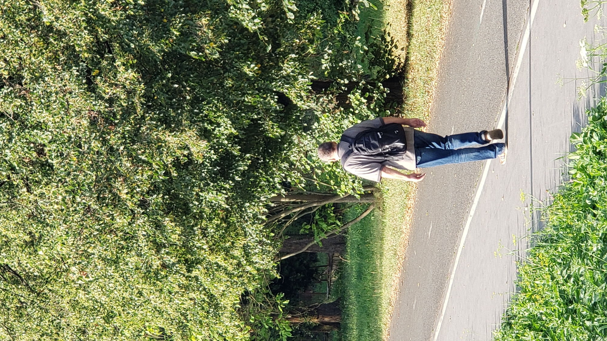 A person with gray hair and a gray t-shirt is walking on a paved path with a black backpack. The path is bordered by green grass and trees. The person is walking away from the camera. The image appears to have been taken in a park or wooded area.