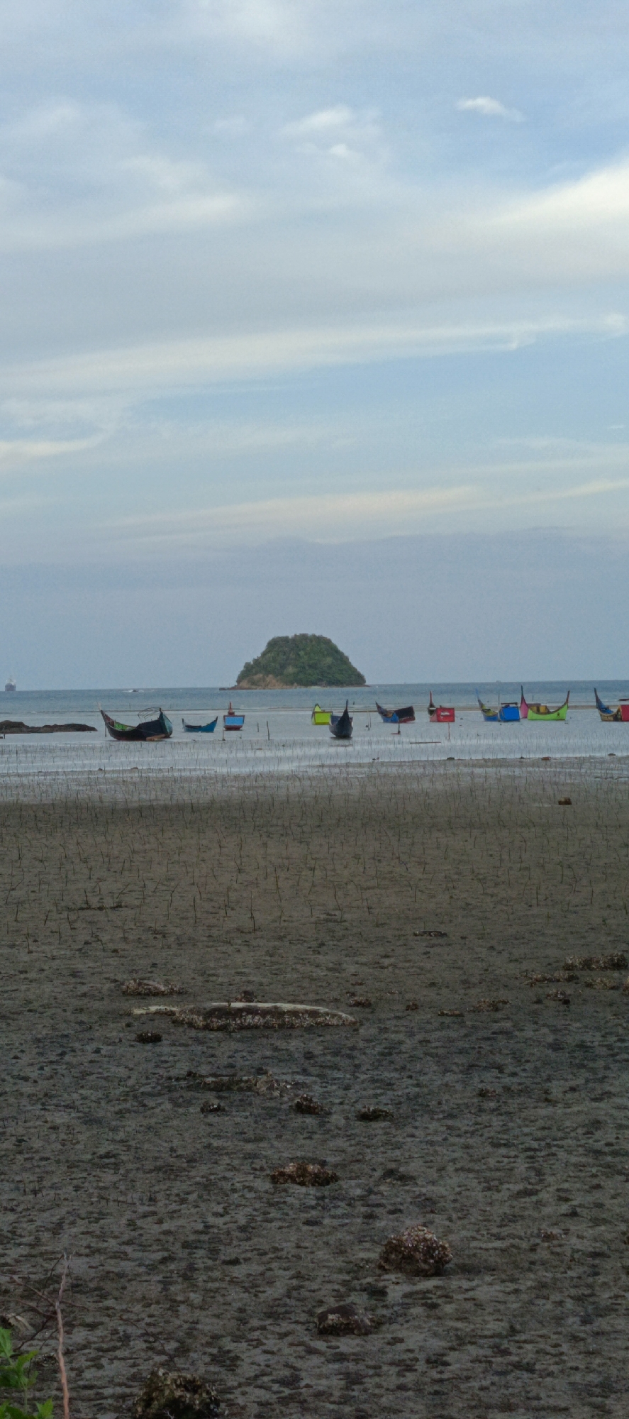 In Lampageu, Indonesia, a low tide scene unfolds with a muddy shoreline in the foreground, dotted with small clusters of rocks and a few sparse plants. A line of various colored fishing boats, including green, blue, red, and yellow, are anchored on the water's surface in the midground, appearing somewhat scattered. In the distance, a small, densely vegetated island rises from the sea under a cloudy, pale blue sky. A large ship is visible on the far left horizon.