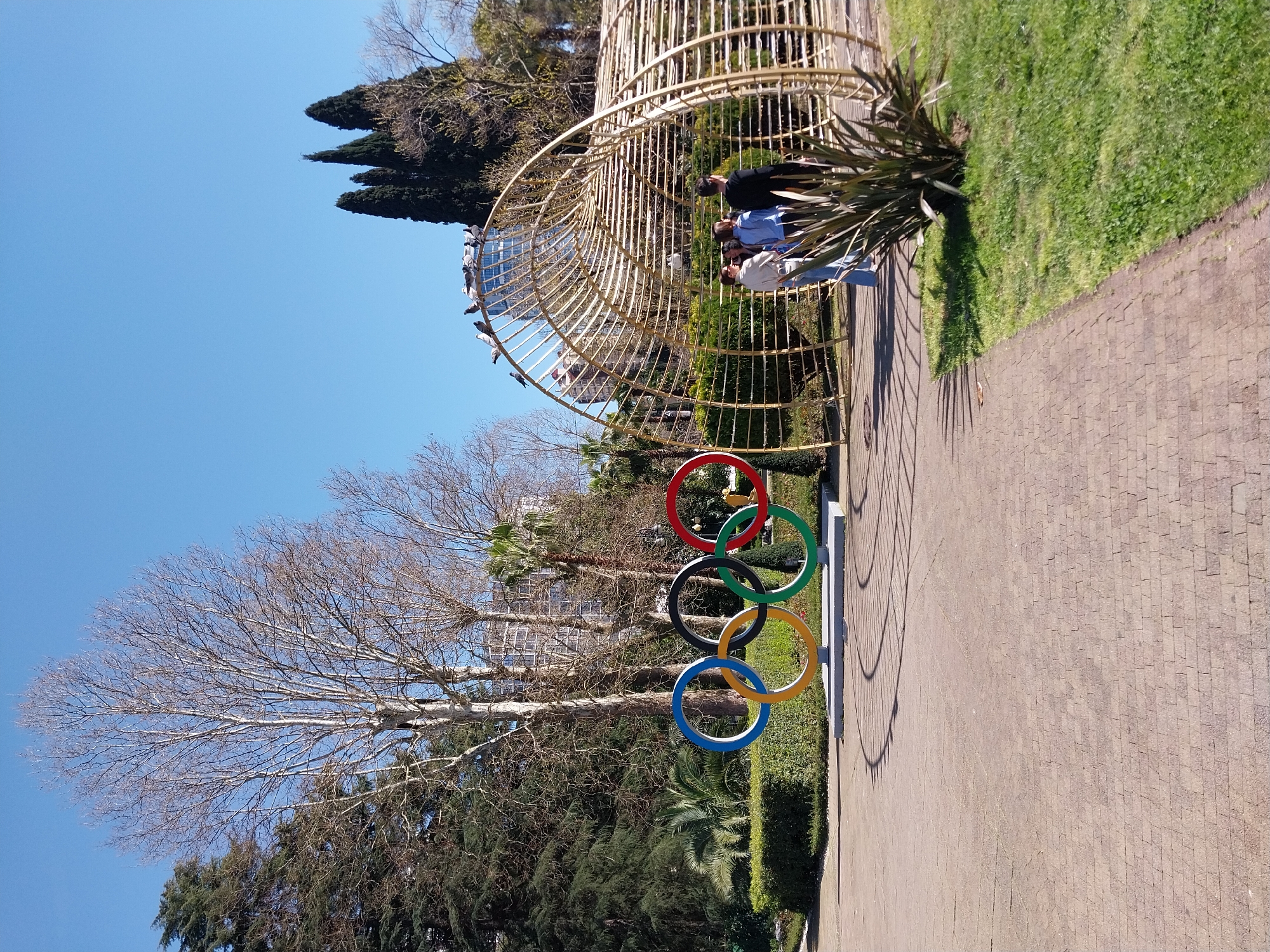 A vibrant outdoor scene in Sochi, Russia, is captured in this image, which appears rotated 90 degrees clockwise from a standard landscape orientation. Under a clear blue sky, a paved pathway stretches across the right side, bordered by a lush green grassy area on the left.
In the foreground, on the left side of the pathway, a prominent sculpture of the five interlocking Olympic rings stands. The rings are distinctly colored red, green, black, yellow, and blue. Further along the pathway, a large, ornate golden archway, resembling a decorative tunnel or arbor, spans the area. Numerous pigeons are perched along the left side of this golden structure.
Several people are visible under the archway. Three individuals are clearly seen on the right side: one wearing a dark jacket, another a light blue shirt, and a third in a light-colored top and jeans. They appear to be casually standing or strolling through the park setting.
The scene is brightly lit by clear sunshine, casting distinct, elongated shadows from the golden archway and nearby plants onto the paved path, indicating it is daytime. The presence of a large deciduous tree with bare branches, alongside various evergreen trees (including cypresses and palm trees), suggests the season is likely late winter or early spring. No discernible text or signage is visible in the image. The overall atmosphere is one of a bright and pleasant recreational area.