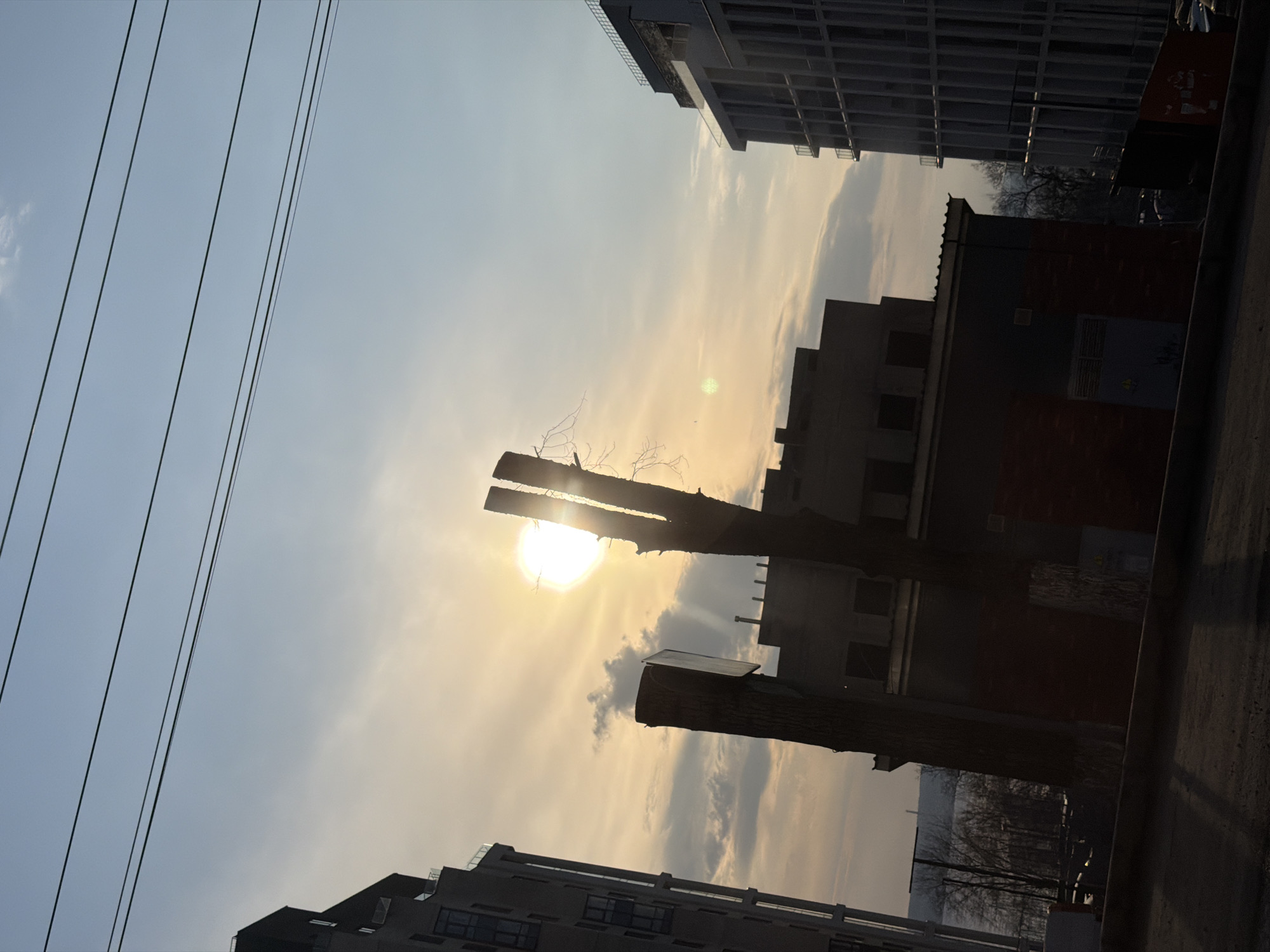 The image shows a view of the sky and buildings, likely in an urban environment. In the foreground, two tree trunks, recently cut off, block the view of the sun, which shines through the gaps. Above and below, there are modern buildings with multi-story structures and multiple windows. Power lines are visible on the left side of the image. The location is in Izhevsk, Russia.