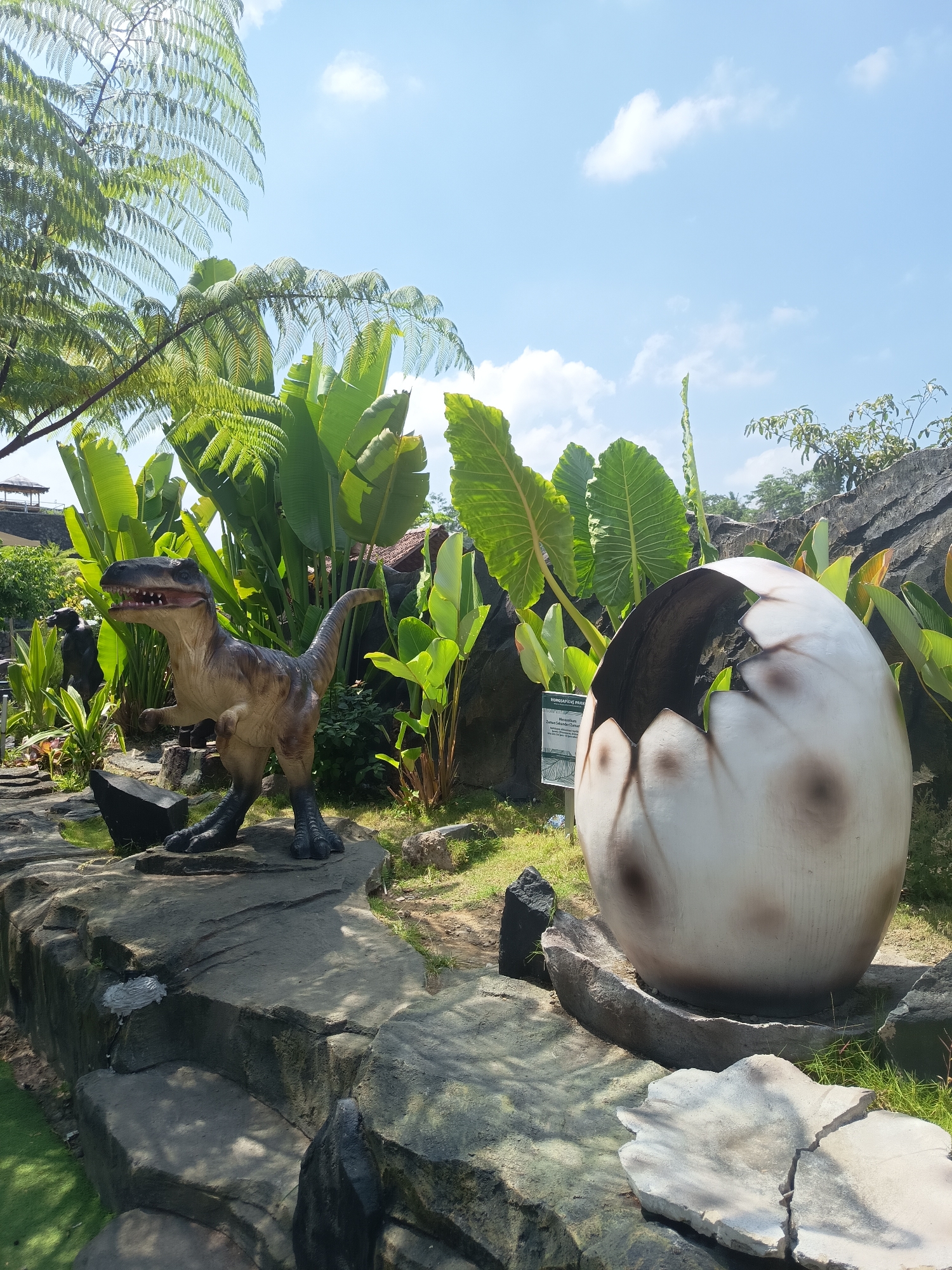 In Sawangan, Indonesia, a park features a dinosaur exhibit. The scene shows a realistic dinosaur statue in the foreground, to the left, with its mouth open and teeth visible. To the right, a large, cracked dinosaur egg is prominently displayed, with a small green dinosaur emerging from within. Lush green foliage, including large-leafed plants and ferns, surrounds the exhibit, with a rocky landscape providing a naturalistic setting. In the background, hints of a building and more greenery are visible under a bright blue sky with scattered clouds. A sign with text is placed near the egg. The lighting suggests it is daytime, with sunlight casting shadows on the ground and rocks.