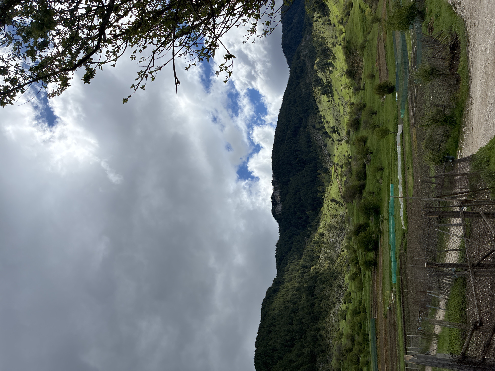 The image depicts a mountainous landscape under a cloudy sky, potentially located in or near Giovren, Bulgaria, given the prompt. A tree branch with sparse leaves is visible in the upper left corner. A dark, densely forested mountain ascends vertically in the center of the frame. Its slopes are partially covered in bright green vegetation. To the right of the mountain is a valley floor containing cultivated fields, some covered with white or green netting, and a rough gravel road. A weathered fence runs along the right edge of the image. The sky is predominantly overcast with heavy grey clouds, but patches of blue sky are visible near the mountaintop. No people or animals are visible in the image.