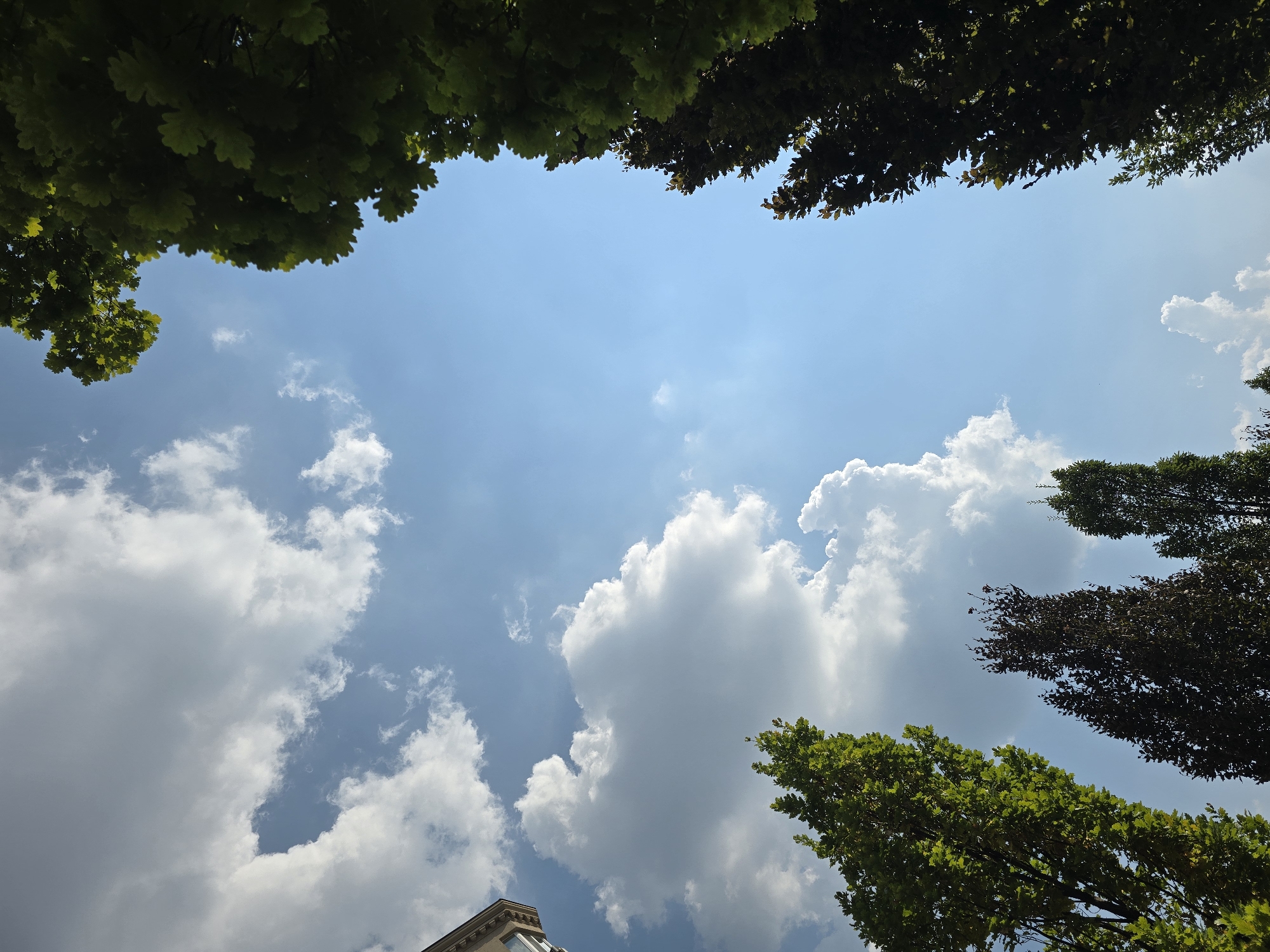 The image shows a low-angle view of the sky with clouds and trees, possibly in Sofiivska Borshchahivka, Ukraine. The sky is a clear blue with scattered white cumulus clouds. Several trees with green foliage are visible along the edges of the frame, with one building corner peeking from the upper left. The scene appears to be outdoors during the daytime.