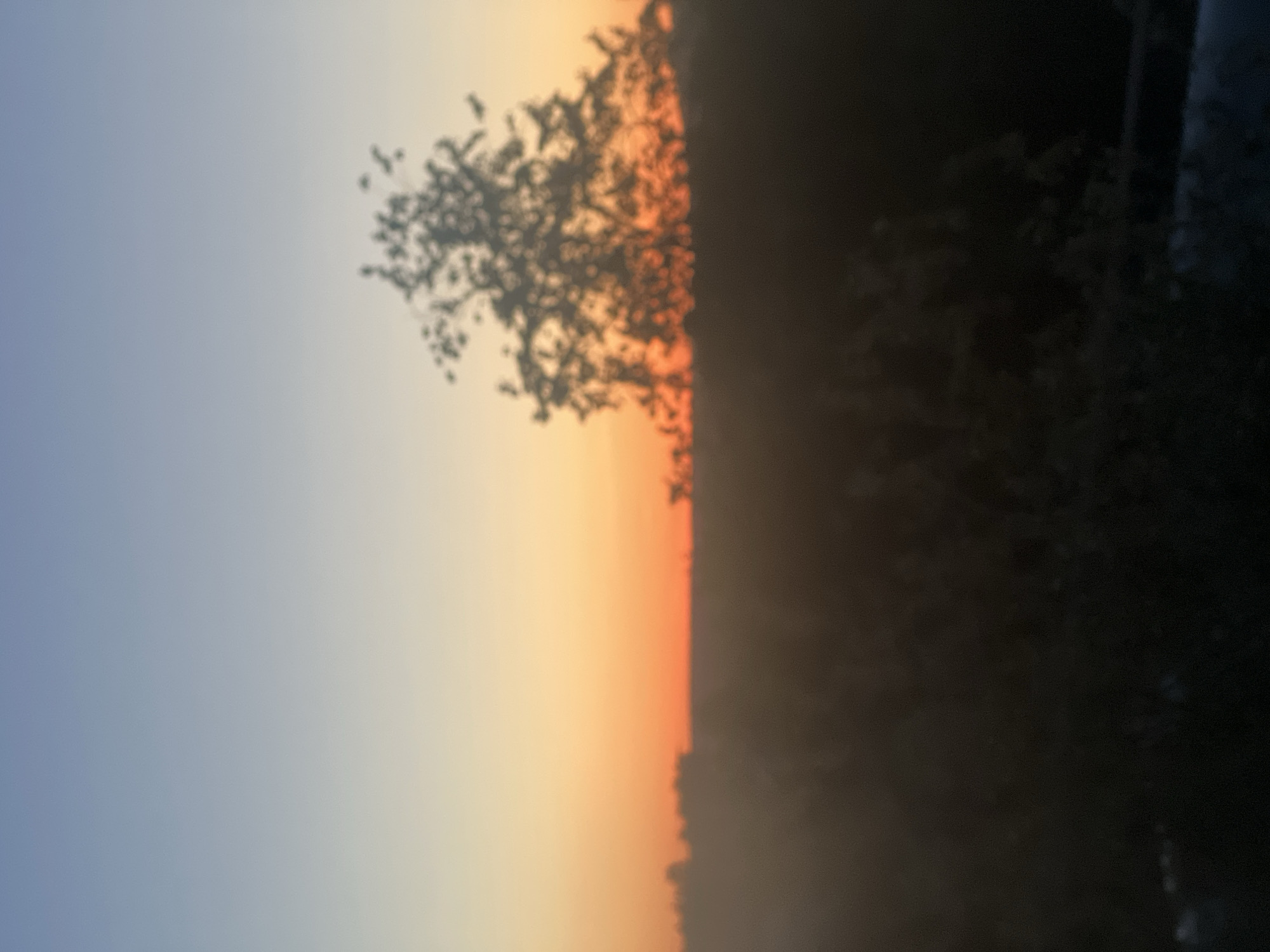 The image depicts a sunset in Votkinsk, Russia. The sky transitions from blue to orange. Silhouetted trees are visible against the sky. The right side of the image is darker, possibly representing shadows or dense foliage. The image is taken horizontally.
