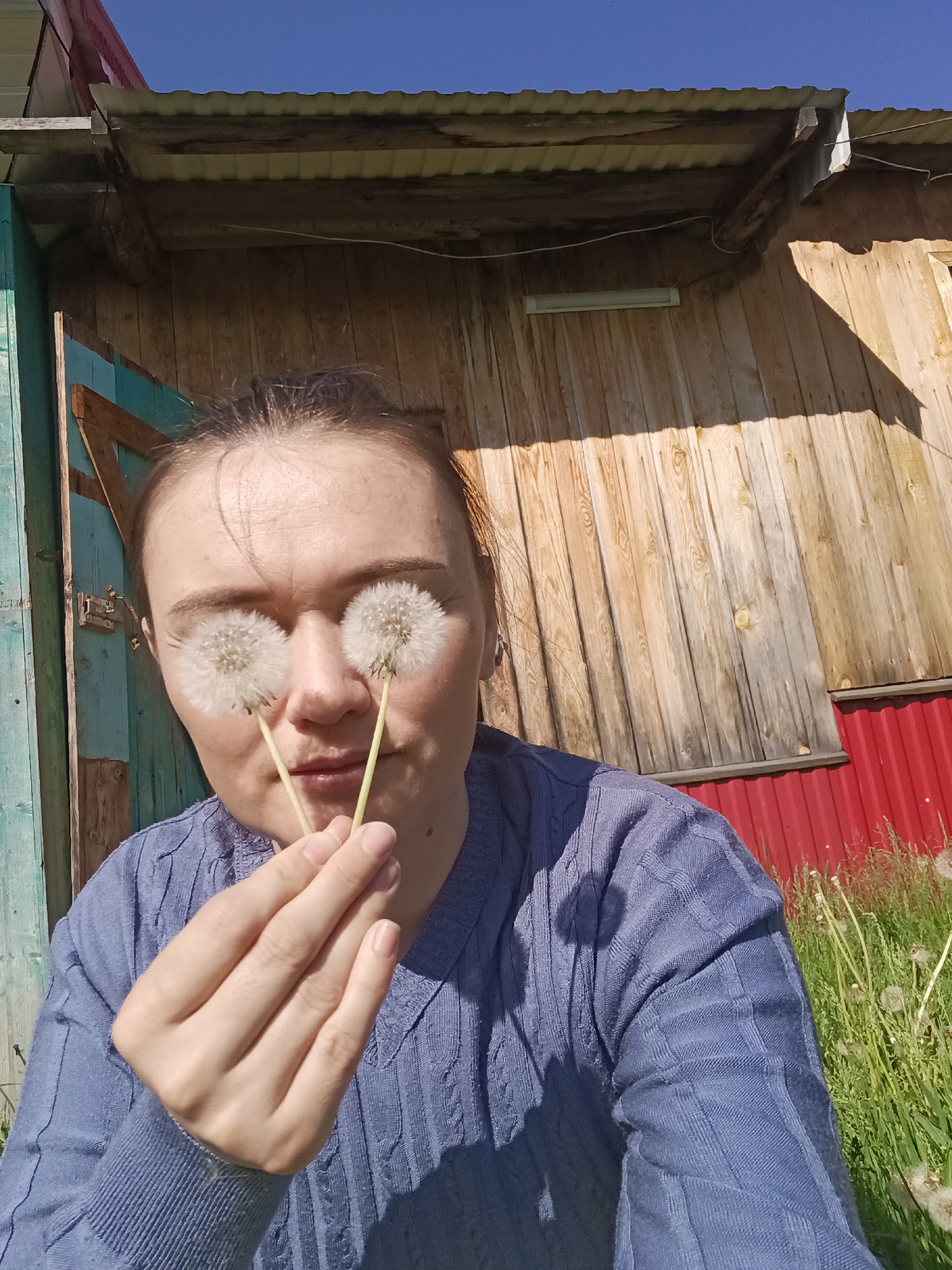 A woman in a blue sweater holds two dandelions over her eyes outdoors in Gabdyukovo, Russia. Behind her, a wooden building with a corrugated metal roof is visible, along with green grass and a clear blue sky. The building has a section painted red, and another section painted teal. The woman is looking directly at the camera.