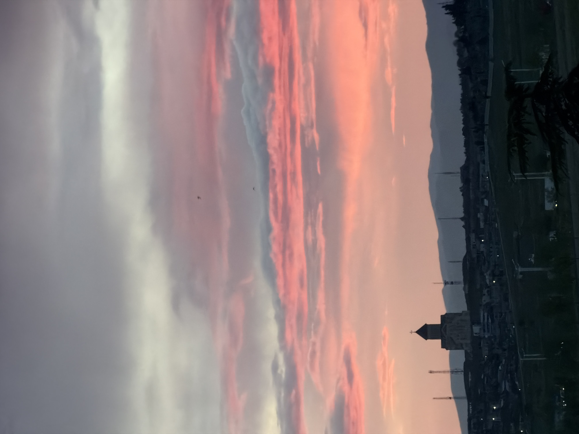 The image captures a dusky cityscape in Tbilisi, Georgia, featuring a church silhouette with a distinctive cross-topped dome and spire in the middle ground, set against a backdrop of rolling hills. Telecommunication towers dot the skyline. Pink and gray clouds dominate the sky, indicating either sunrise or sunset. The foreground is dark, with the faint outline of a tree or palm frond visible on the right, and there are hints of urban structures and lights below the skyline. The image is oriented vertically, with the landscape elements appearing in a sideways orientation.