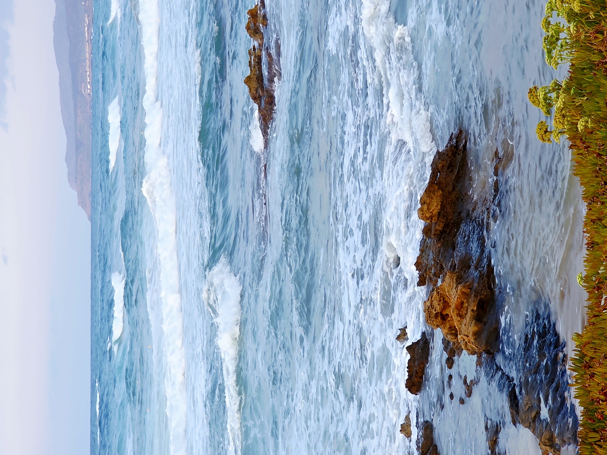 The image shows a rocky coastline with the Mediterranean Sea. In the foreground, there is a patch of succulent plants with yellow flowers. In the mid-ground, there are several rocky outcrops partially submerged in the water, with waves crashing against them. The sea is a vibrant blue, with white foam from the waves. In the background, there is a coastline with hills and buildings, which is likely part of Malia. The sky is overcast with a pale, diffused light. There are no people or animals visible in the image.