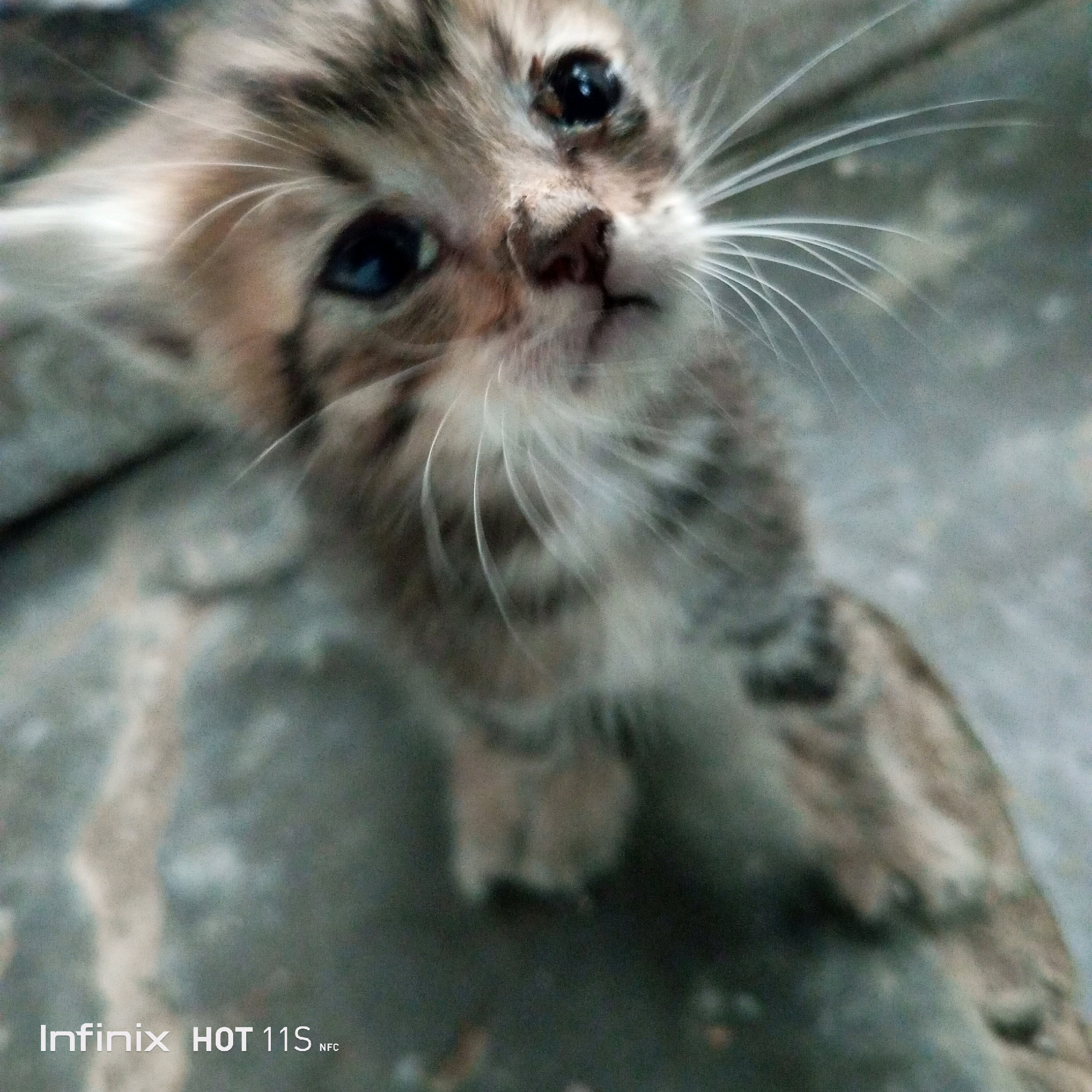 A close-up, low-angle shot captures a very young kitten with large, dark eyes and prominent whiskers, looking upwards. The kitten's fur is a mix of brown and grey tabby patterns. It appears to be sitting or crouching on a textured, light-colored surface, possibly concrete or a similar ground material. The background is blurred and appears to be a continuation of the ground, with some lighter patches. The overall image has a grainy texture and is slightly out of focus, giving it a soft, intimate feel. The Infinix HOT 11S NFC logo is visible in the bottom left corner. The provided context indicates the location as Sukaslamet, Indonesia.