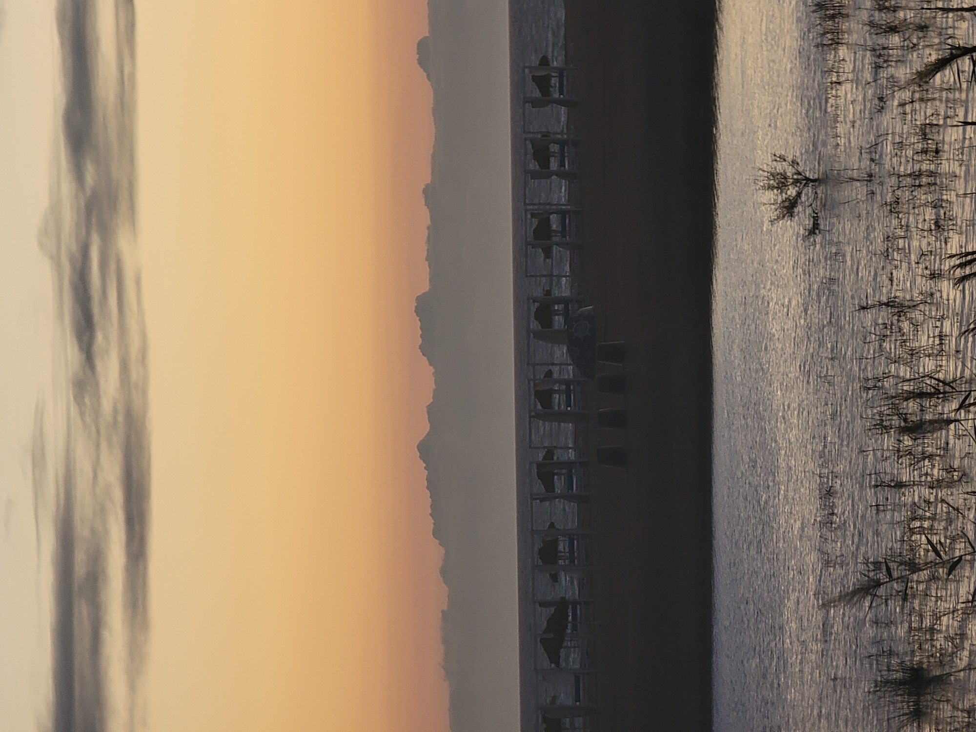 The image depicts a coastal scene at Quarteira, Portugal, during either sunrise or sunset. The sky is a gradient of soft orange and yellow, with wispy grey clouds near the horizon. Below the sky, a band of darker clouds or a distant mountain range is visible. In the middle ground, a calm sea stretches out, with a line of beach umbrellas or cabanas silhouetted against it. These structures appear to be arranged in a row along a sandy beach. The foreground features a body of water, possibly a lagoon or inlet, with reeds and aquatic plants growing near the shore. A small, bare tree stands in the water, adding a solitary element to the landscape. The overall impression is one of tranquility and natural beauty.