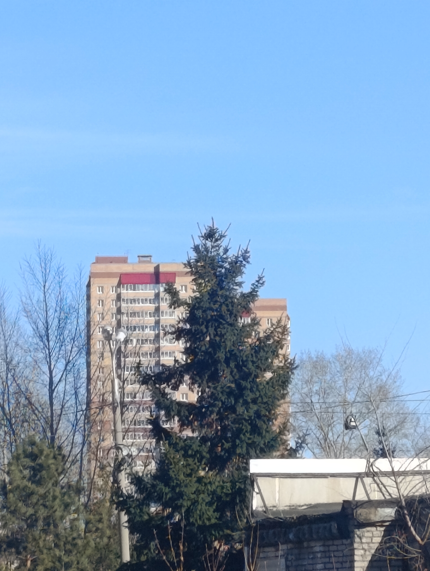 The image shows a high-rise building behind some trees in Krasnoyarsk, Russia. The building is beige with a red trim. The sky is blue. There are bare trees and a coniferous tree. In the lower right, there is a brick structure topped with a white roof or covering. A street lamp is visible near the high-rise building.
