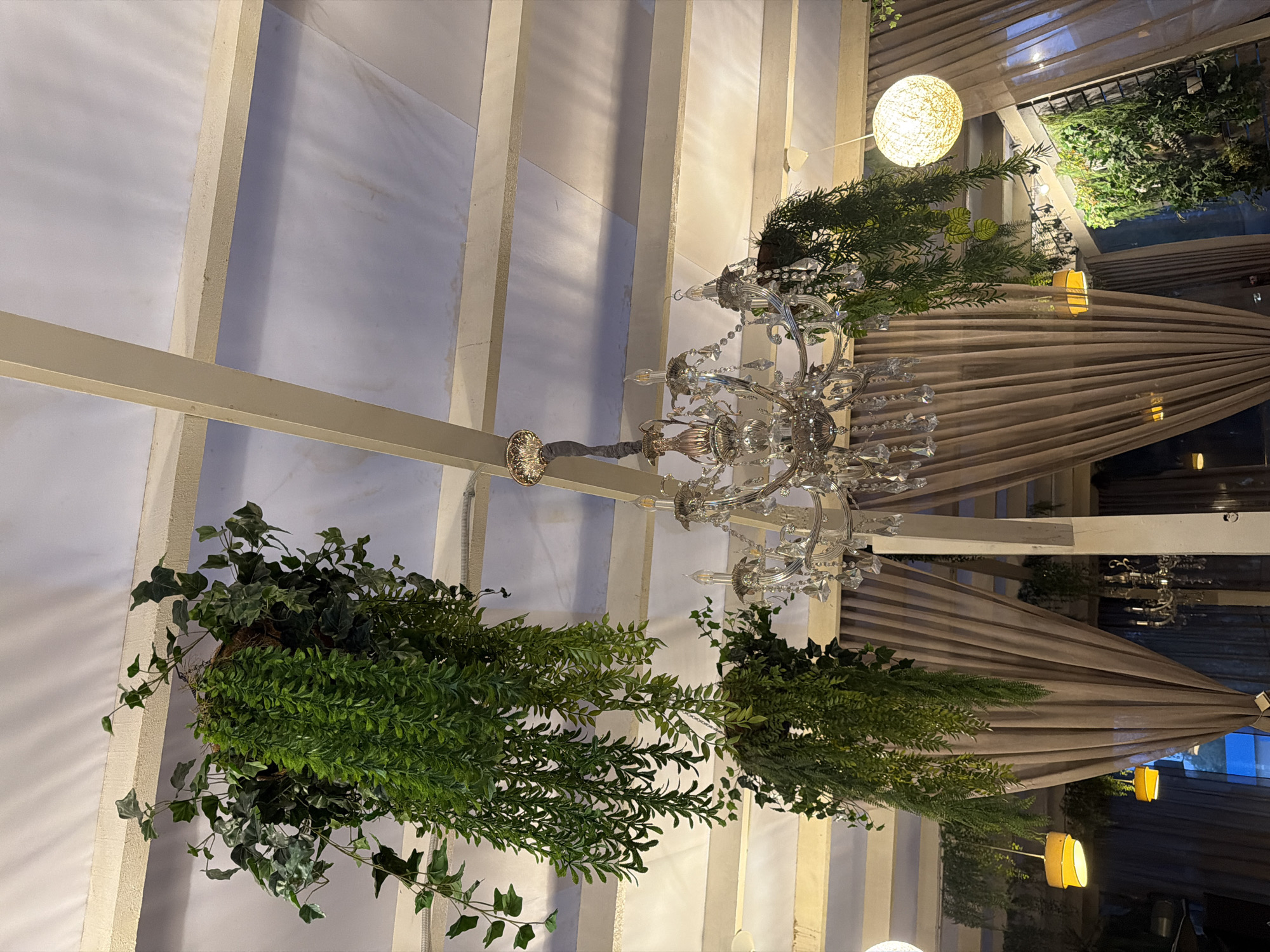 In a dimly lit interior, likely a restaurant or event space, a crystal chandelier hangs from a white beamed ceiling. Lush green artificial hanging plants cascade down from above, framing the ornate chandelier. Beige drapes are visible in the background, some pulled back to reveal glimpses of other hanging light fixtures and a vertical garden wall. The overall ambiance suggests a decorative and possibly romantic setting.
