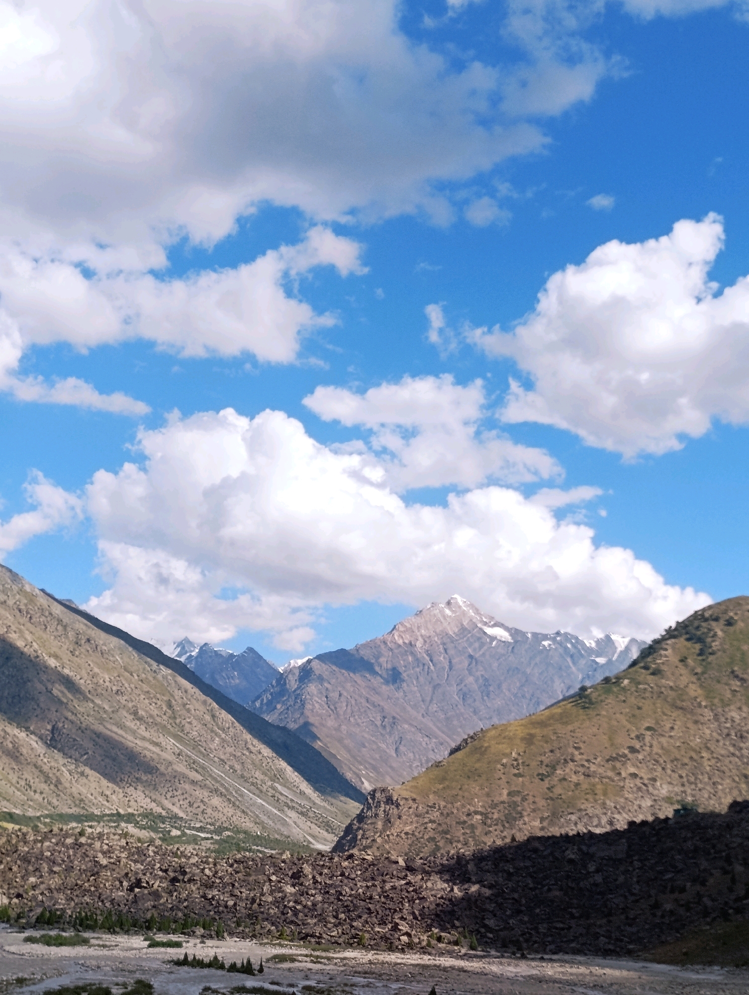 This is a vertical, eye-level, medium shot photograph of a mountainous landscape under a bright blue sky with scattered white clouds. In the foreground, a rocky, barren terrain is visible, with a dry riverbed or plain scattered with rocks and sparse green vegetation. The middle ground features steep, dry, and barren mountain slopes, with visible shadows and sparse vegetation. In the background, a range of majestic, snow-capped mountains rises, their peaks catching the sunlight. The overall scene depicts a remote, natural, and rugged mountain environment, consistent with the high-altitude regions of Darcha, India. There are no people or animals visible in the frame.