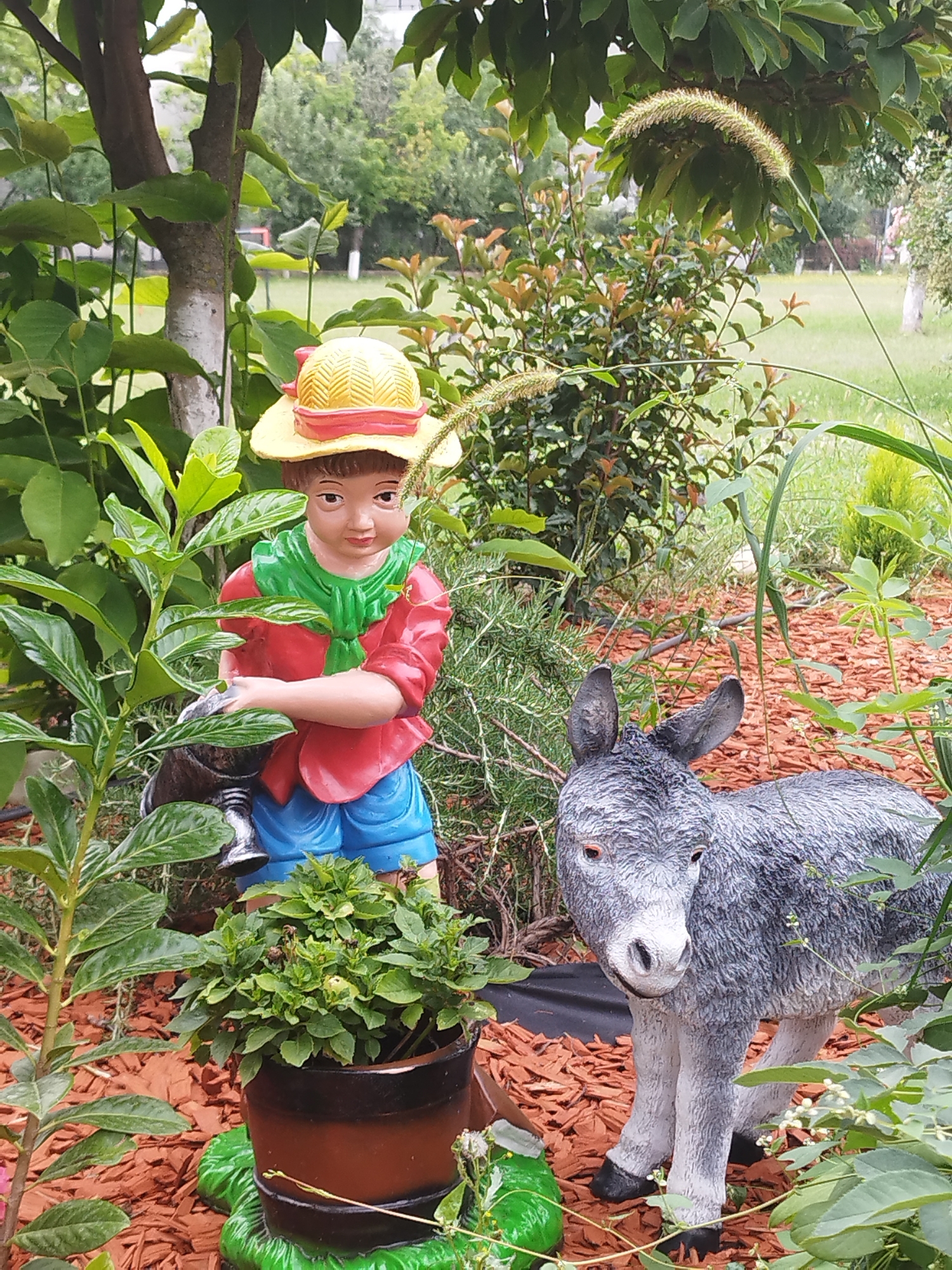 This is a medium shot, eye-level photograph of garden ornaments depicting a boy and a donkey, situated in a garden. The boy statue, approximately two feet tall, is dressed in a red shirt, green scarf, and blue shorts, wearing a yellow hat. He holds a watering can. To his right stands a grey donkey statue, also about two feet tall, with its head turned towards the camera. Both statues are placed on a bed of reddish-brown mulch. In the foreground, a potted plant with green foliage sits between the boy and the donkey. The background features lush green foliage, trees, and a grassy area, suggesting an outdoor setting in a well-maintained garden. The lighting is soft and diffused, indicating an overcast day or shade. There are no visible people or animals in the photograph, only the garden ornaments. The scene is likely located in a residential garden in Bucharest, Romania, given the description of a well-kept garden environment.