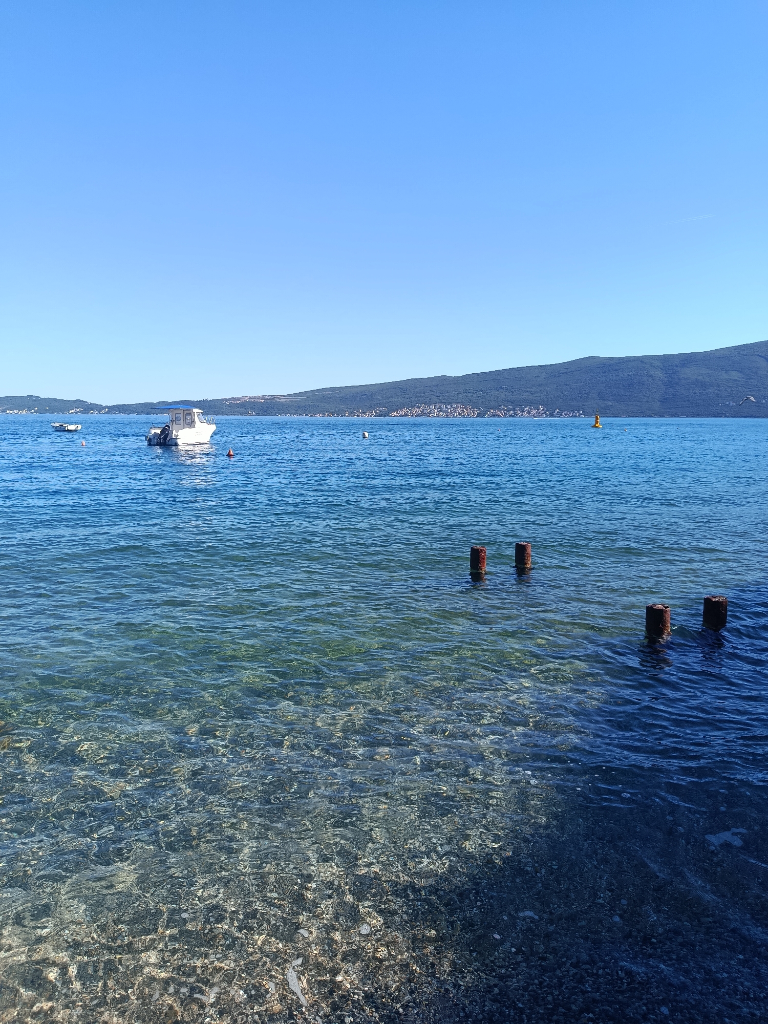The image depicts a tranquil coastal scene in Bijela, Montenegro, characterized by clear blue water and a clear blue sky. In the middle distance, a white boat is anchored, with a smaller boat to the left and orange buoys scattered in the water. The opposite shore features a mountain range and a town nestled at its base. Closer to the foreground, several weathered, brown, wooden posts protrude from the water, creating a visual point of interest. The foreground reveals a pebble-strewn shoreline with shallow, transparent water exposing the seabed.