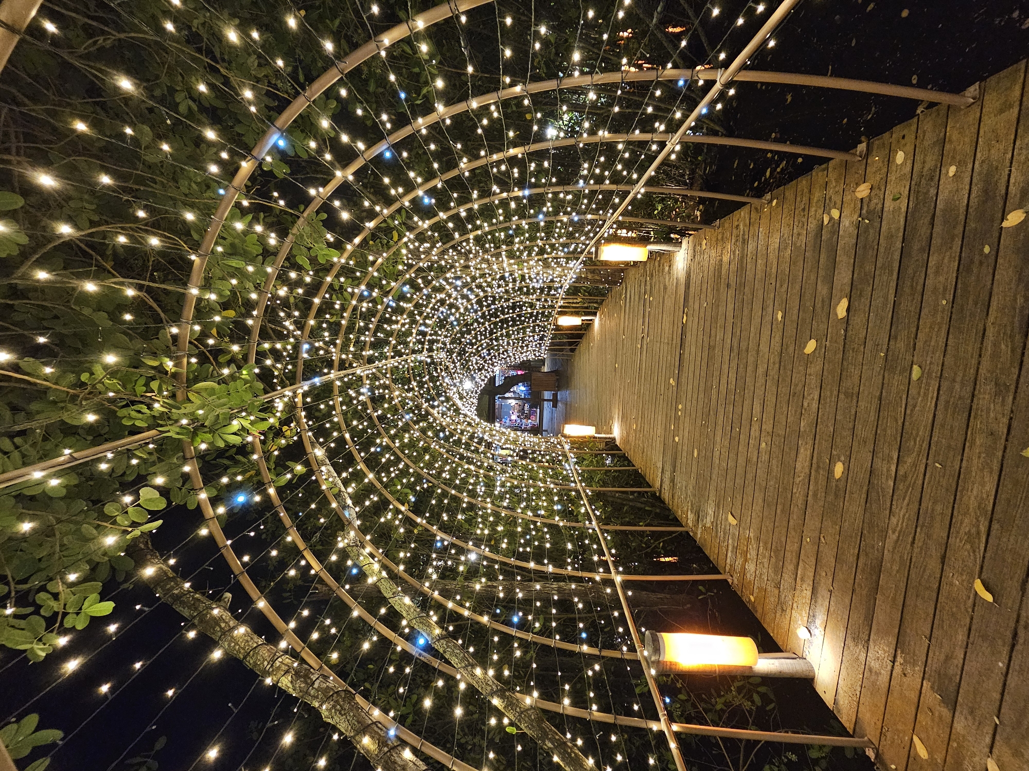 The image depicts a boardwalk tunnel illuminated by numerous small white lights. The tunnel structure is made of bamboo, with lights draped over the frames creating an archway effect. A wooden boardwalk runs along the right side of the tunnel, with some fallen leaves scattered on the planks. Along the edge of the boardwalk, there are small cylindrical lamps providing additional light. At the end of the tunnel, figures are visible, suggesting people are present. The environment is otherwise dark, with vegetation visible through the gaps in the bamboo structure.
While not specified, it is likely that this image was taken in Armação Dos Búzios, Brazil given the prompt instructions.