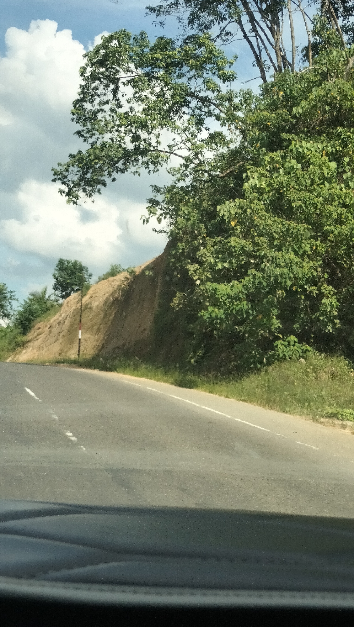 A slightly overcast sky with puffy white clouds is visible above a steep, sandy embankment bordering a paved road. Lush green trees and foliage densely cover the upper portion of the embankment and extend into the background, with some branches reaching towards the sky. A single, thin utility pole with red and white markings stands near the center of the embankment. The road, marked with white lines, curves gently to the right, with the foreground showing the interior of a vehicle. The scene appears to be a natural, somewhat undeveloped area, possibly on the outskirts of a town or along a highway.
