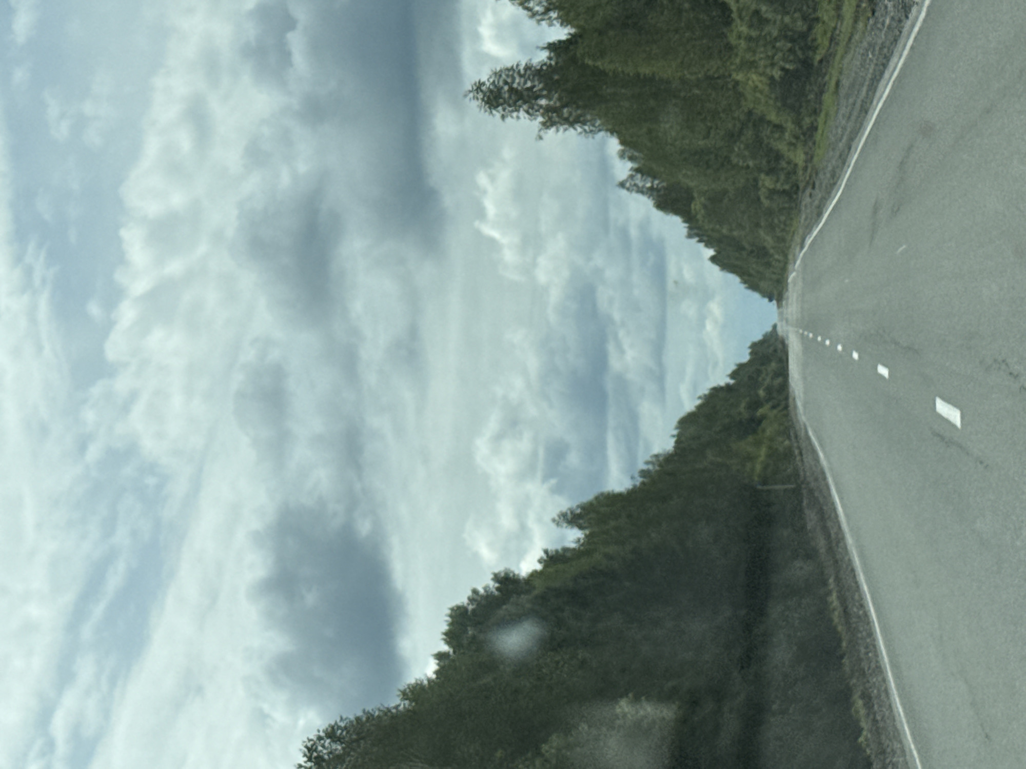 This image depicts a two-lane asphalt road with white dashed lines marking the lanes, receding into the distance under a cloudy sky. Dense green trees line both sides of the road, creating a tunnel effect. The road appears to be in a rural or semi-rural setting, possibly in or near the city of Nazarovo, Russia, given the provided context. There are no people or vehicles visible in the image. The overall impression is one of a journey through a heavily forested area.