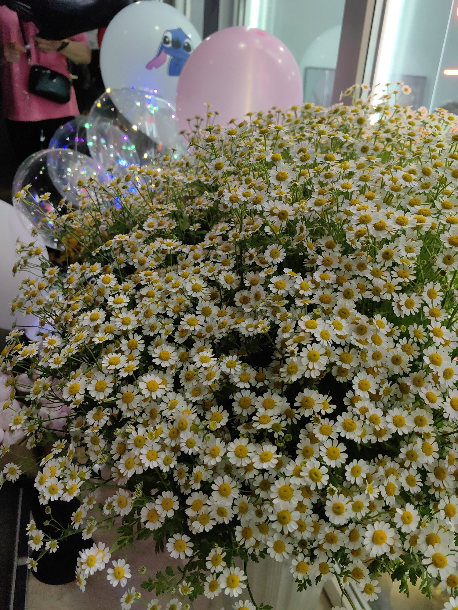 The image presents a dense arrangement of numerous small white and yellow daisy-like flowers, potentially feverfew, filling the majority of the foreground and midground. Each flower features white petals radiating from a prominent bright yellow central disc. The flowers appear fresh and vibrant, with green stems and foliage intermingling.
In the background, various balloons are visible. Towards the upper left, a white spherical balloon is inflated and prominently displays a blue cartoon character, Stitch. Adjacent to and below this, several transparent spherical balloons are present, containing internal lights or glitter that reflect light, creating multiple small, colored bokeh effects. On the upper right side, a solid pink spherical balloon is partially visible.
Faintly discernible in the far left background is a person wearing a pink garment and carrying a dark-colored shoulder bag. The environment appears to be an indoor setting with artificial lighting, possibly a retail space or venue, characterized by reflections on what seem to be window frames or glass partitions in the distant background. No specific markers indicate the city of Sochi, Russia.