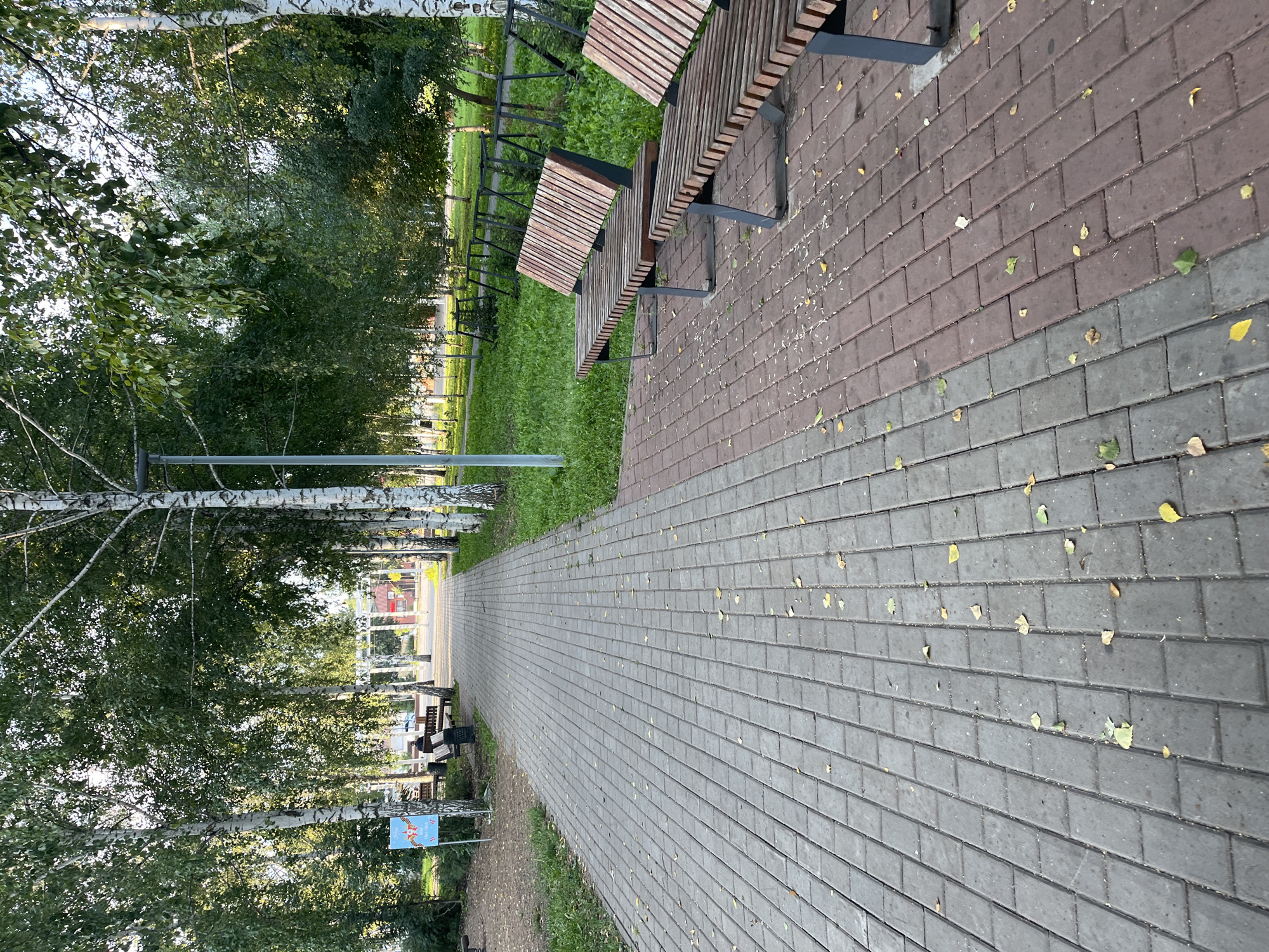 A paved walkway lined with birch trees runs through a park in Tugay, Russia. The walkway is made of interlocking pavers, with a section of grey pavers on the left and red pavers on the right. Benches are situated along the right side of the walkway. In the distance, a person is seated on a bench. The trees have green foliage, and a few fallen leaves are scattered on the walkway. A lamppost is visible along the left side of the walkway, and a sign with an image is posted near the entrance on the left. The environment appears to be a public park or recreation area with a well-maintained path and ample greenery.