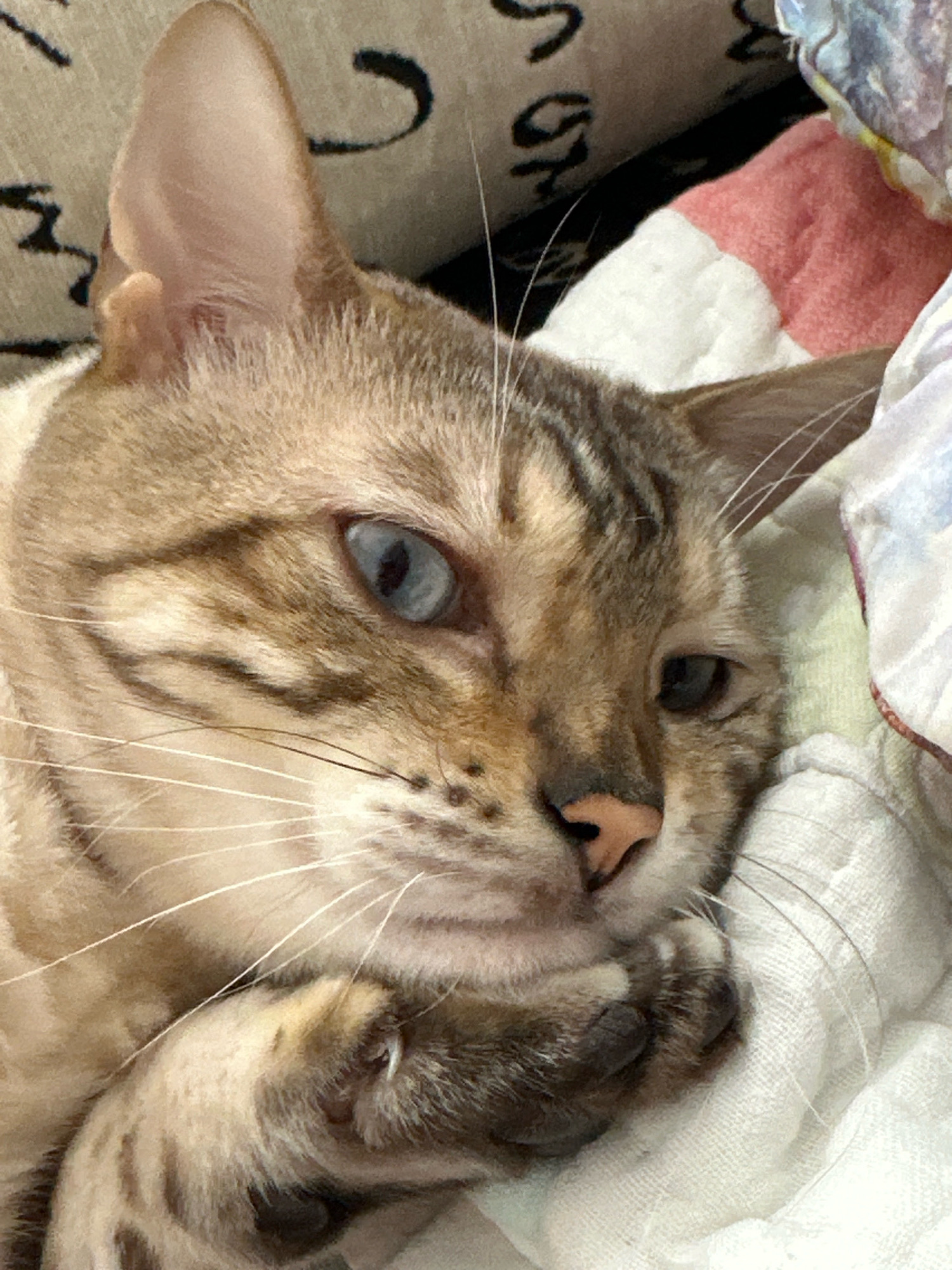 The image is a close-up shot of a Bengal cat lying down on a soft, white, textured surface that appears to be a blanket or bed. The cat's fur is a mix of tan, brown, and black stripes, characteristic of the breed. Its eyes are a striking blue, with one eye partially closed. The cat's paws are resting near its face, and its whiskers are prominent. The background shows a slightly blurred pattern of black and gray shapes on a beige surface, and a hint of a pink and white patterned fabric to the right. There are no people or other animals visible in the image. The image appears to be taken indoors, in a domestic setting. There is no information in the image that allows for the identification of its location in Energetik, Russia.